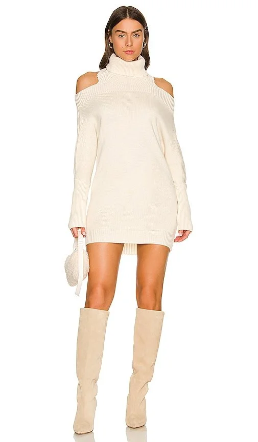 $138 Anisa Turtleneck Sweater Dress Lovers and Friends