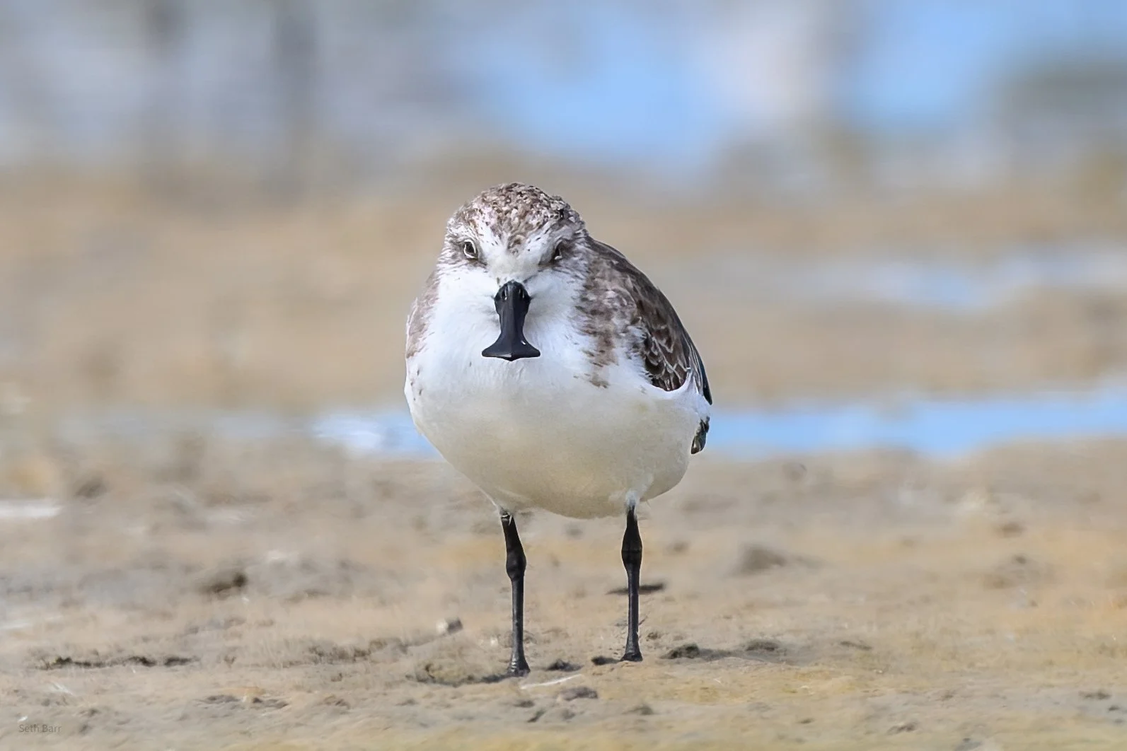 Thailand 2025 Part 1