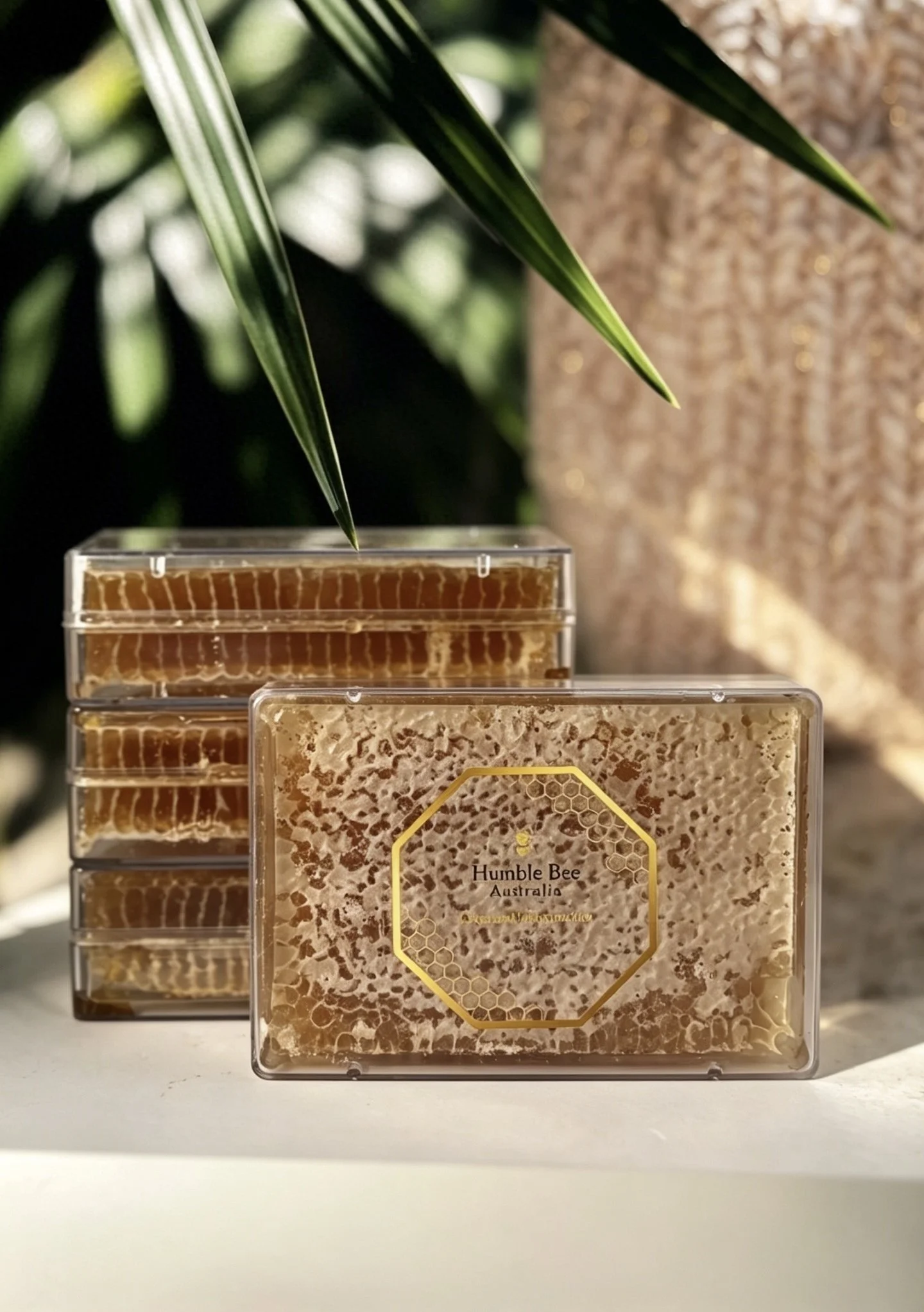 500g Honey Comb