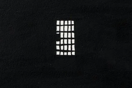 Webinar: Straight Talk About Solitary Confinement & Race