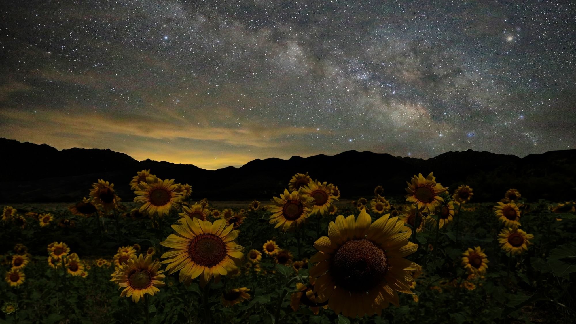 Sunflower field before mountains and under star-filled night sky and distant yellow sunset