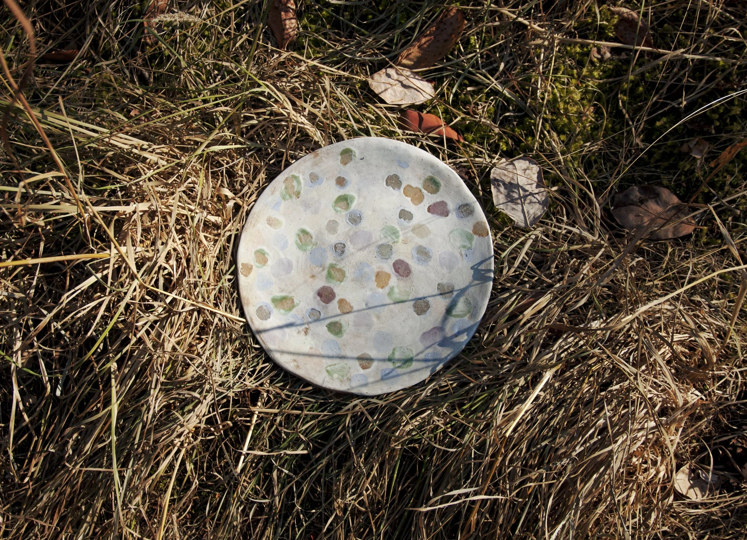 dot plate.jpg