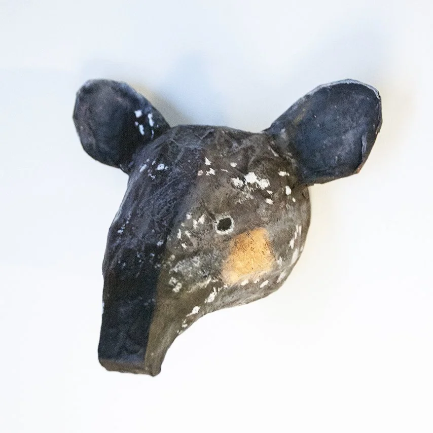 tapir LR.jpg