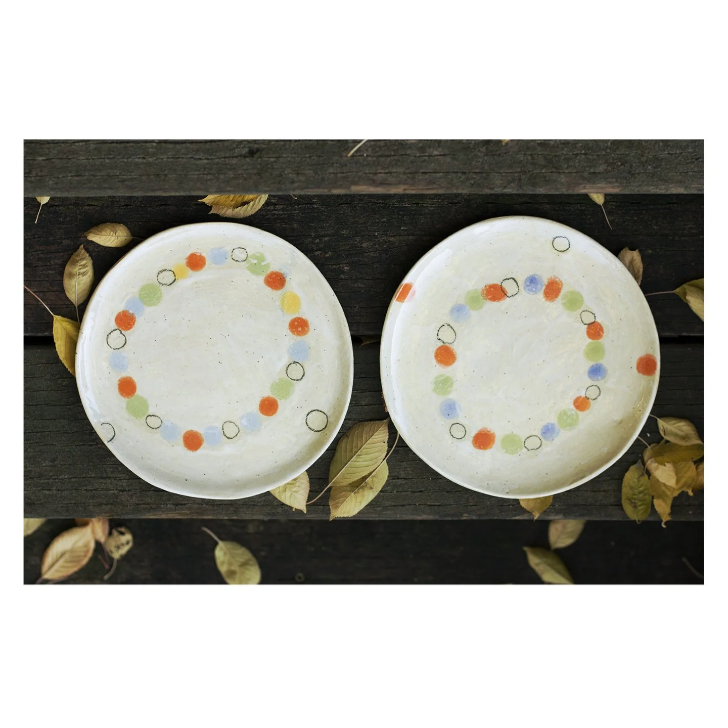 seward_plates.jpg