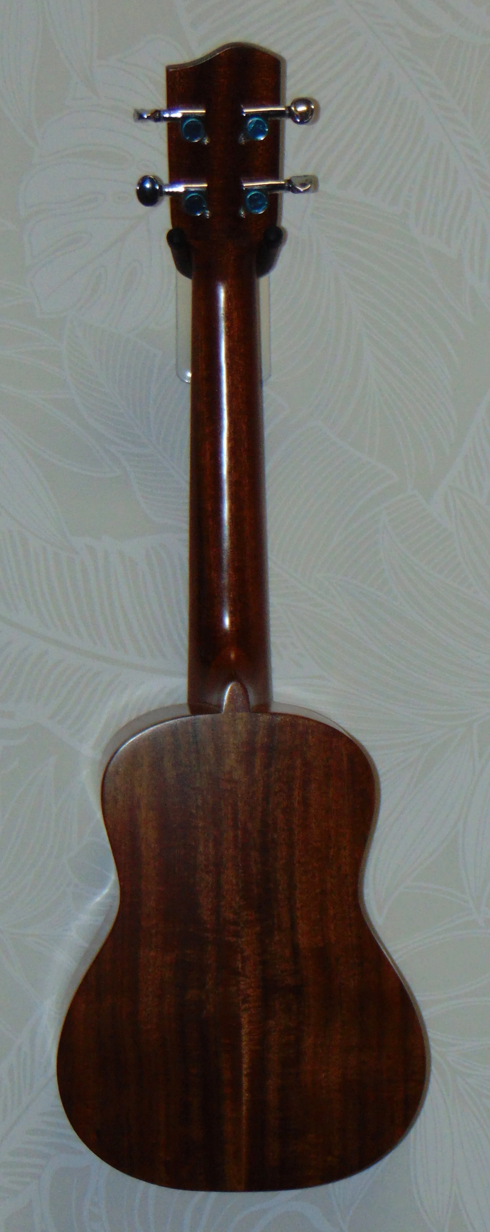 Solid Acacia Super Concert      HUG-A-SC   Back View