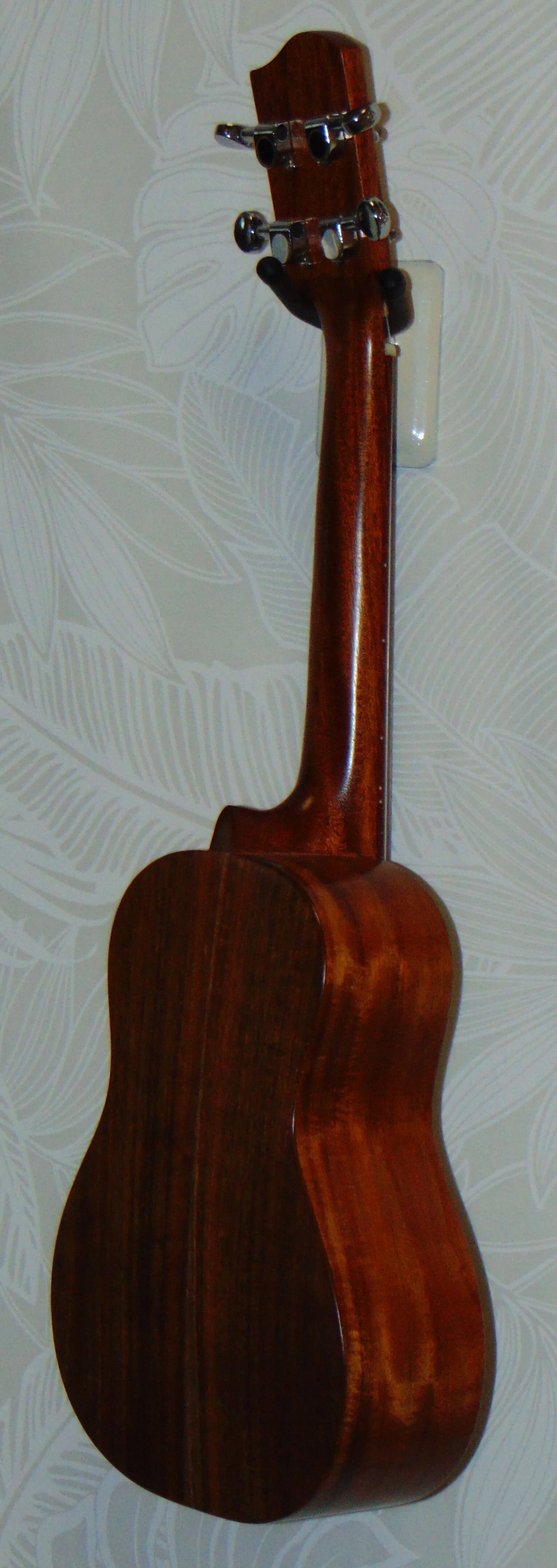 Solid Acacia Concert      HUG-A-C   Side View