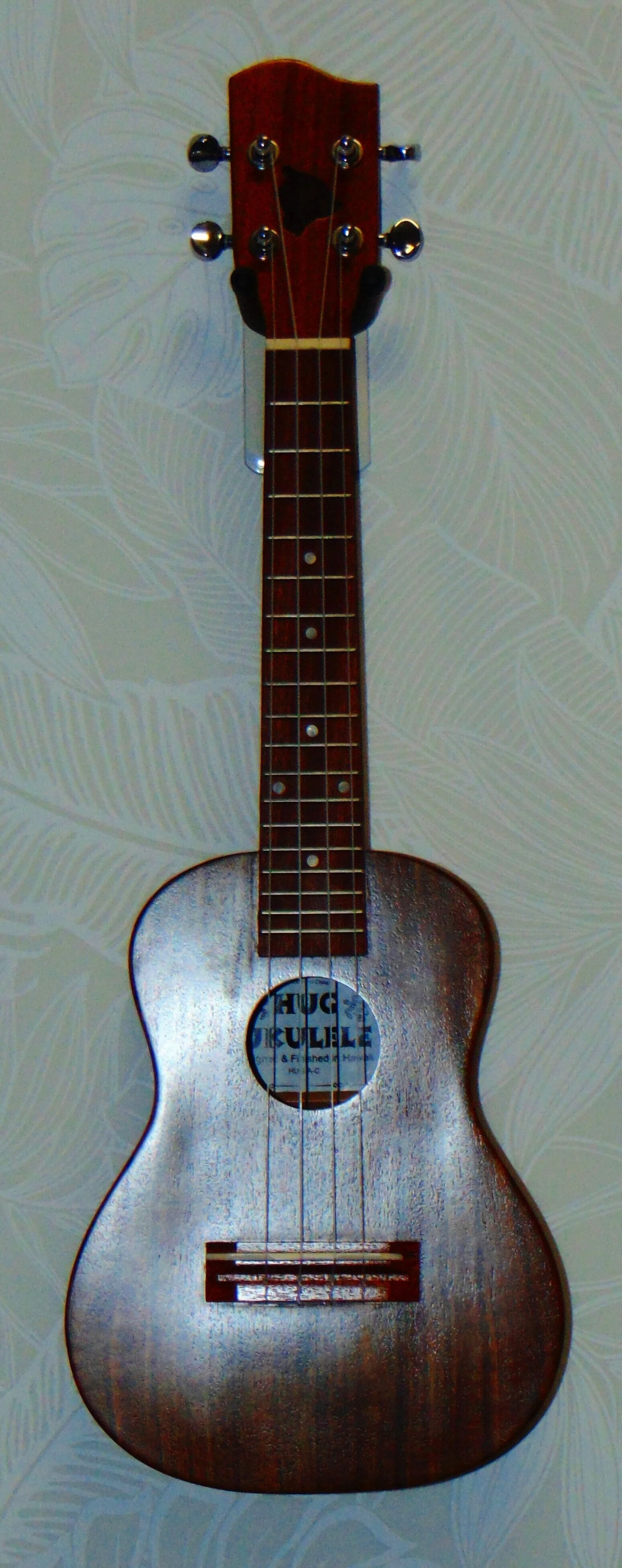 Solid Acacia Concert      HUG-A-C   Front View