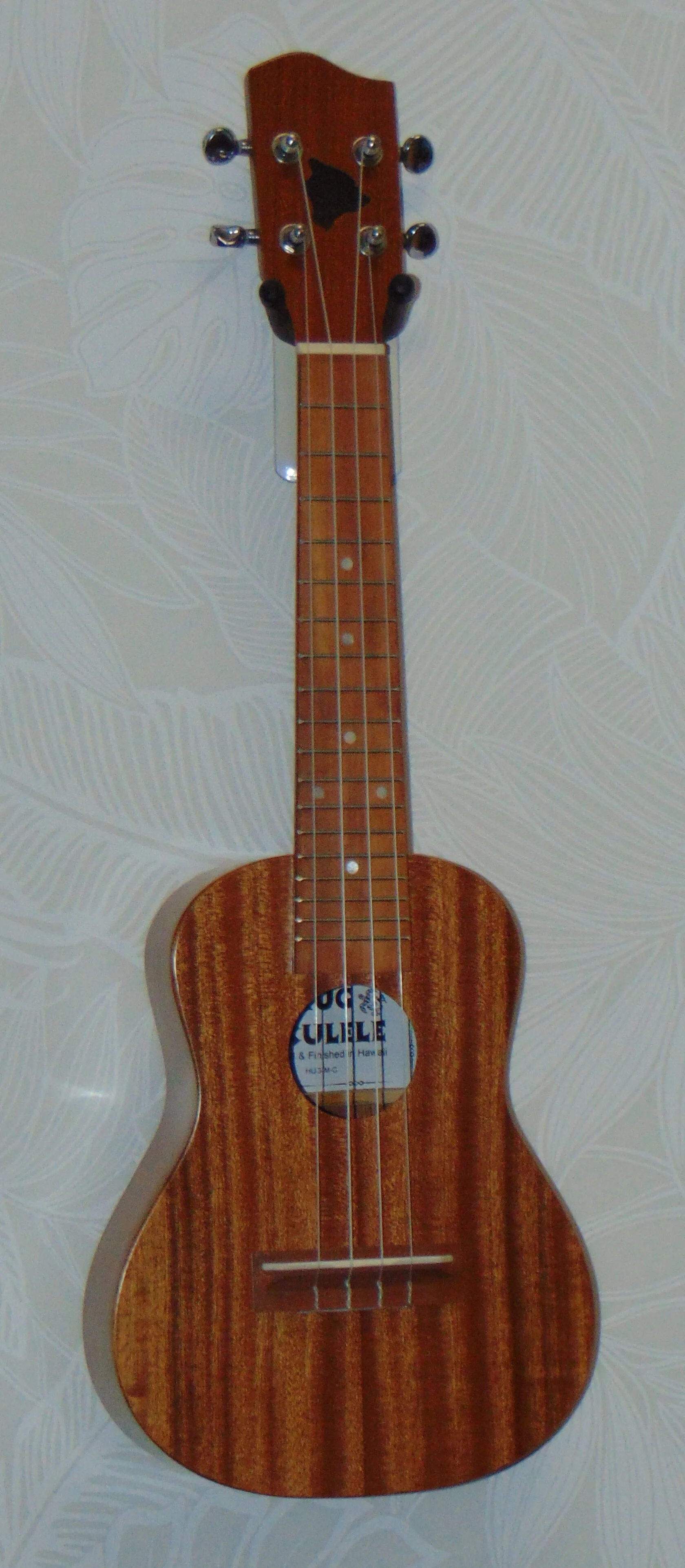 Solid Mahogany Concert Size Ukulele Front View