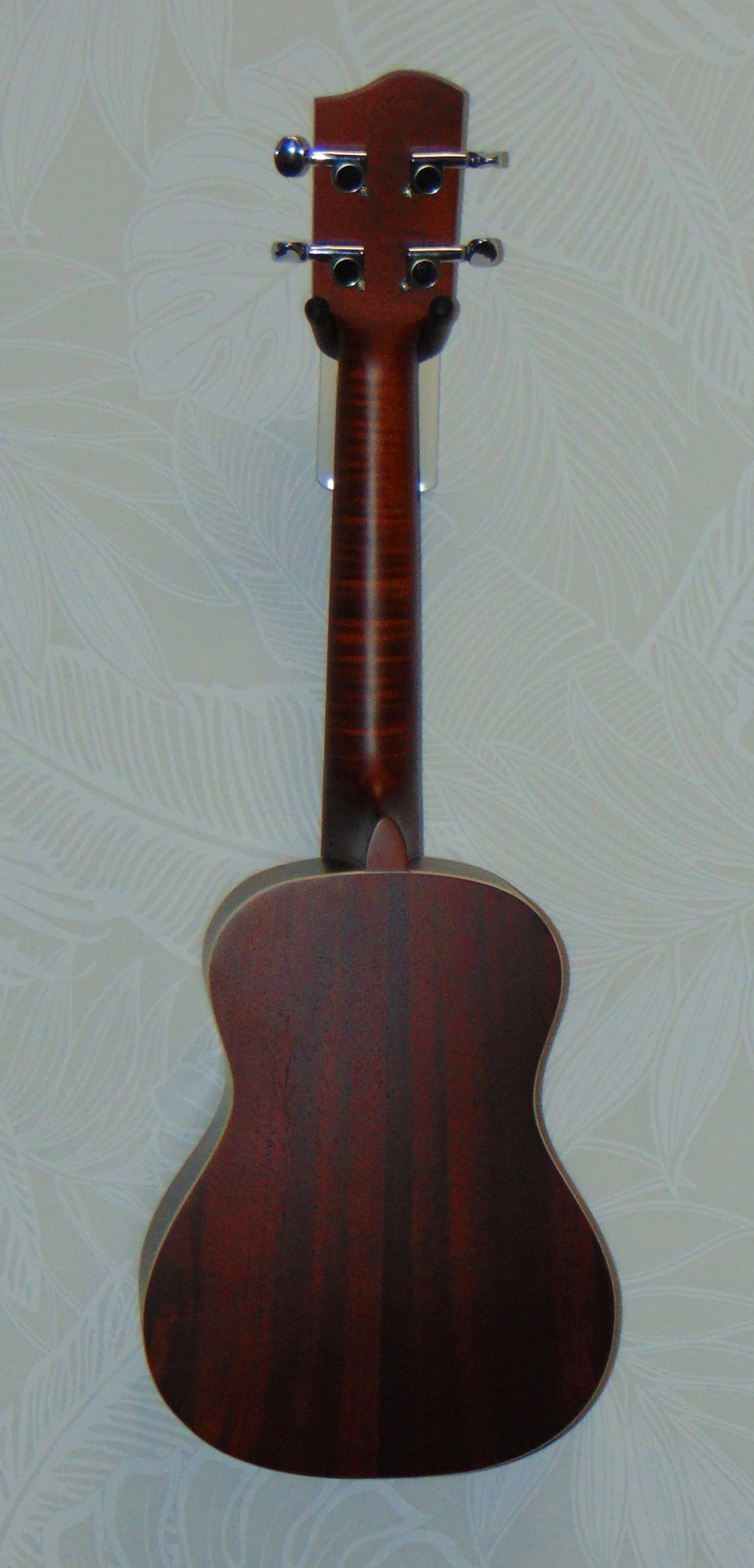 HUG Mahogany Series Concert Ukulele Back View