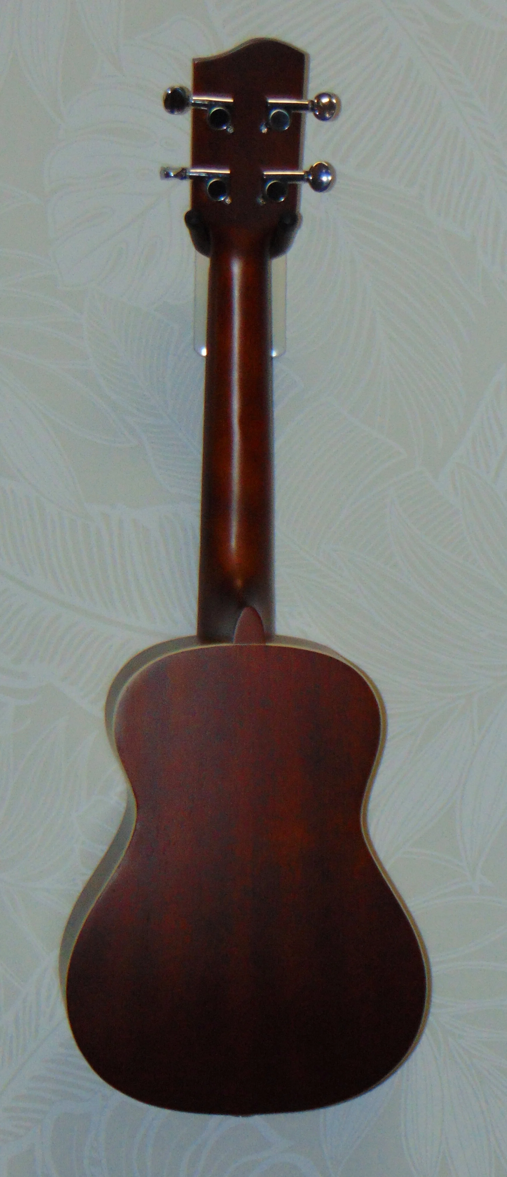 HUG Spruce Top Series Concert Ukulele Back View