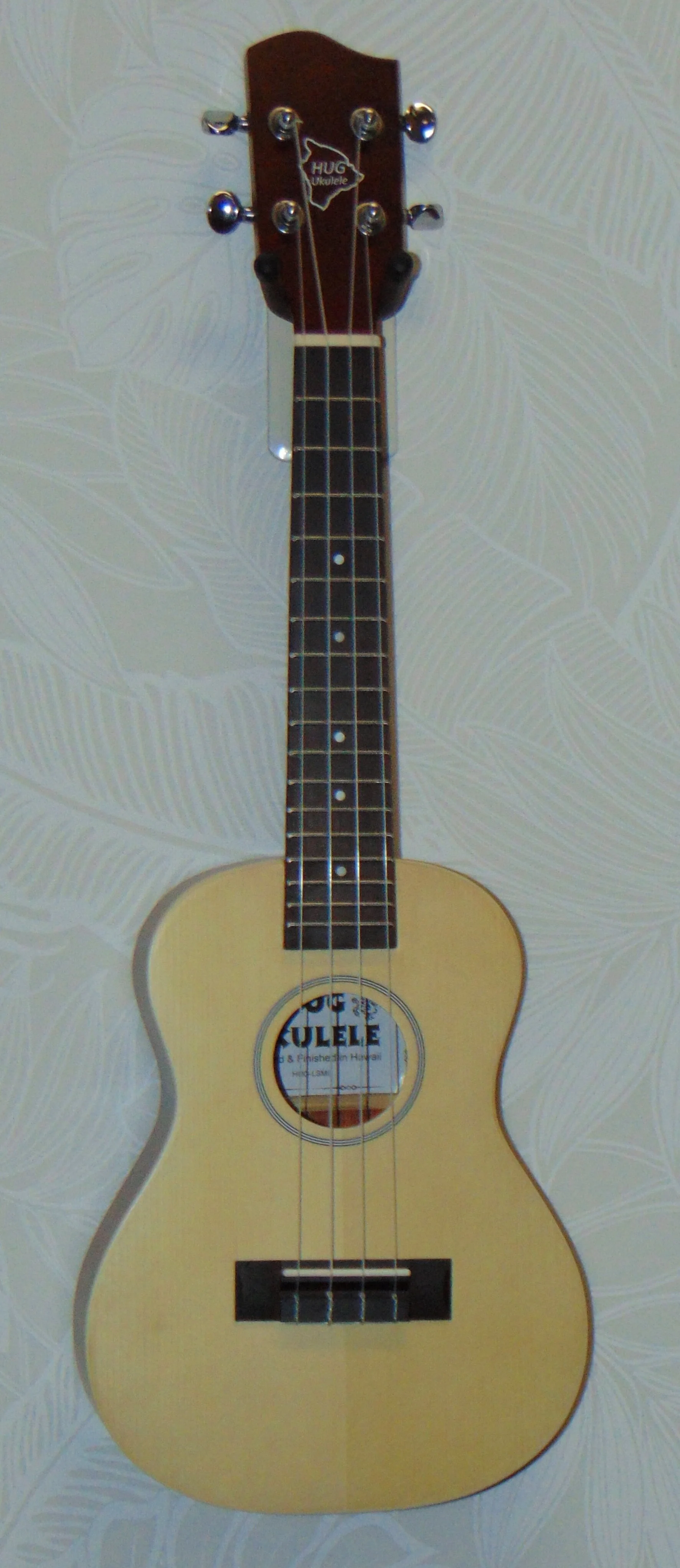 HUG Spruce Top Series Concert Ukulele Front View