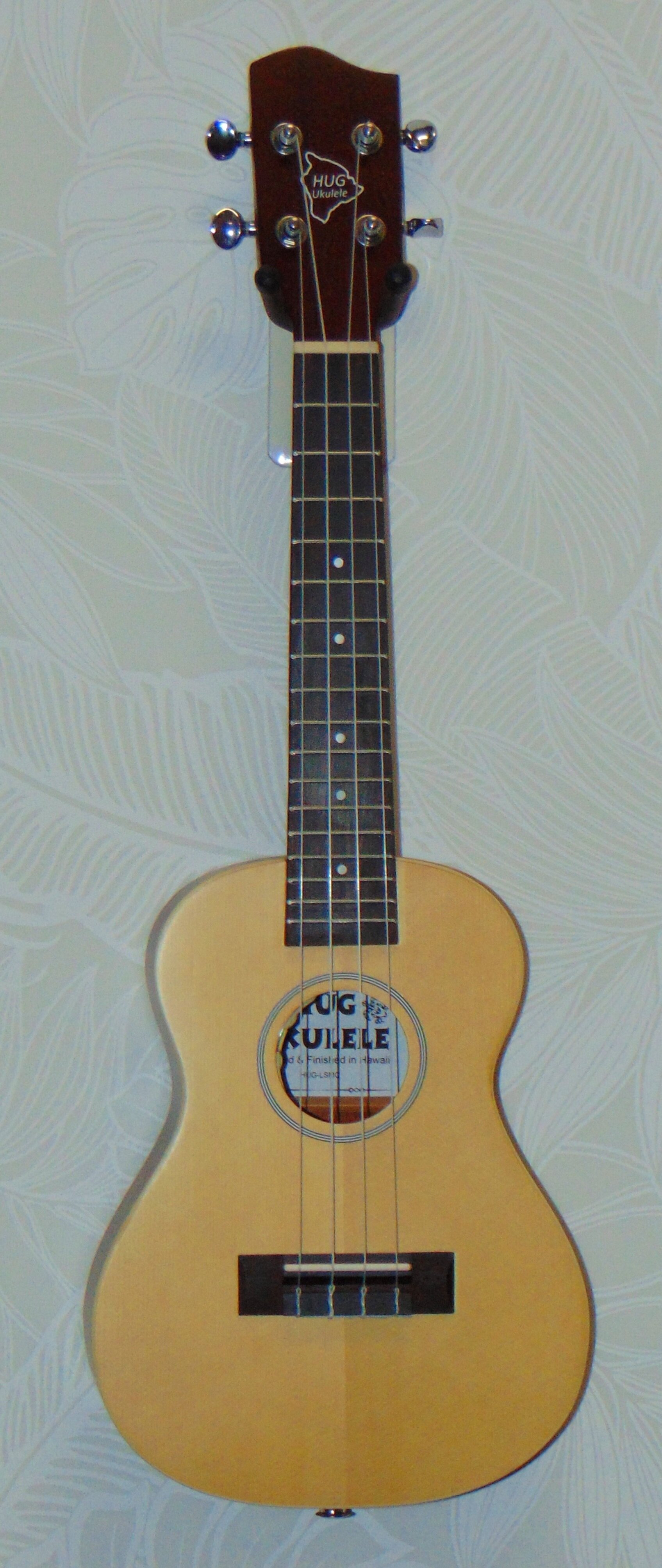 HUG Spruce Top Series Concert Electric Ukulele Front View