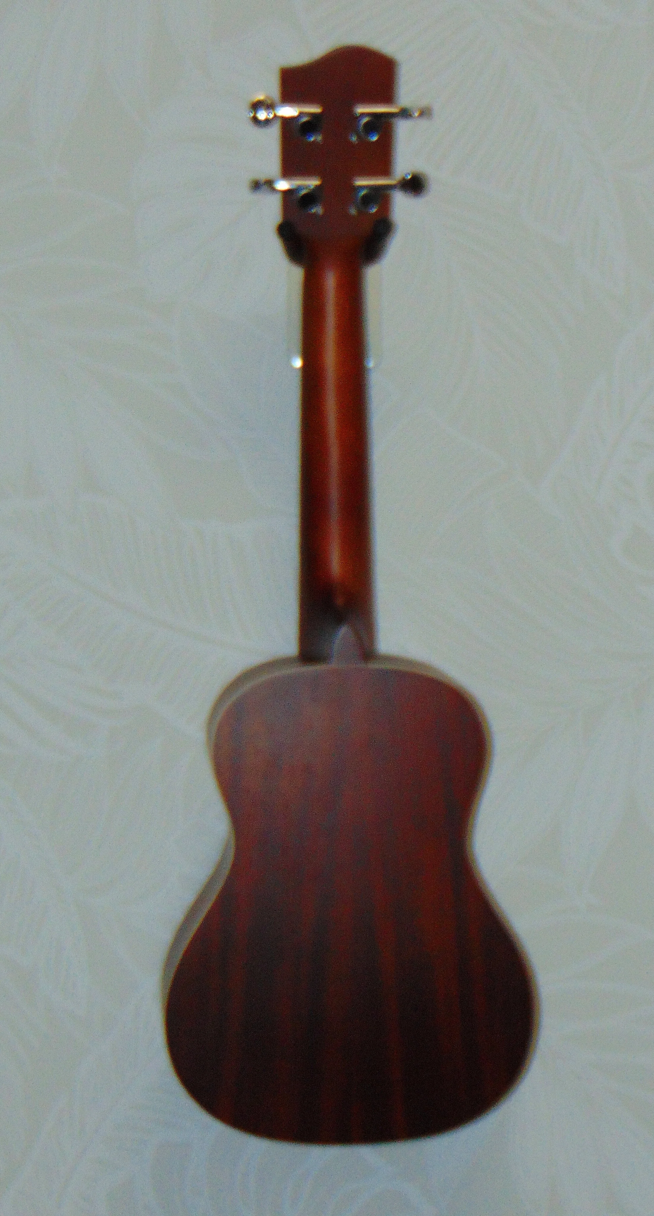 HUG Mahogany Tenor Electric Back View