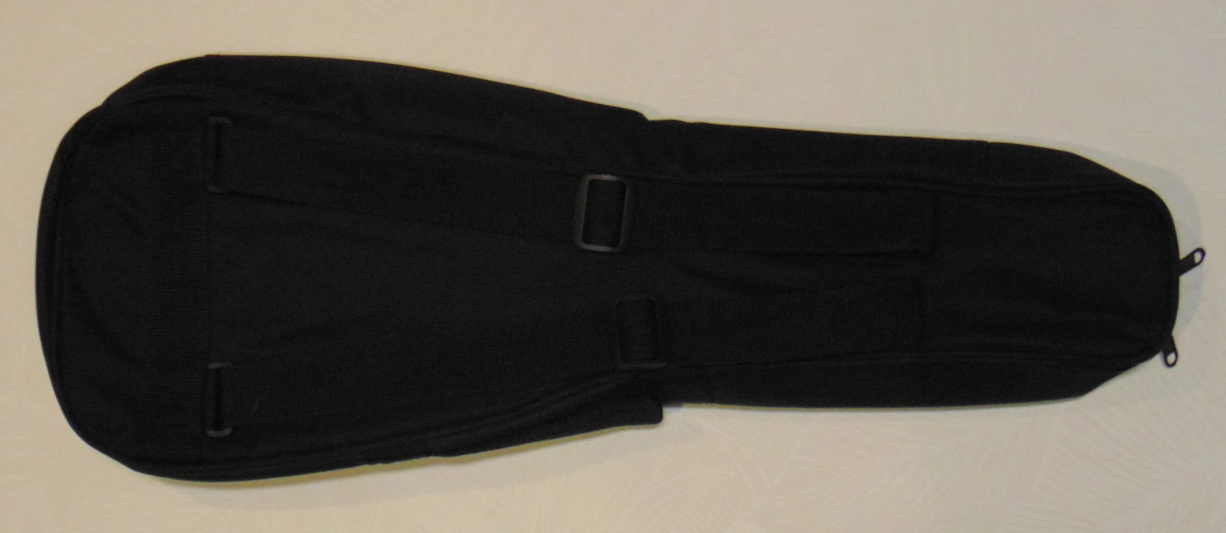 Padded Concert Bag Back