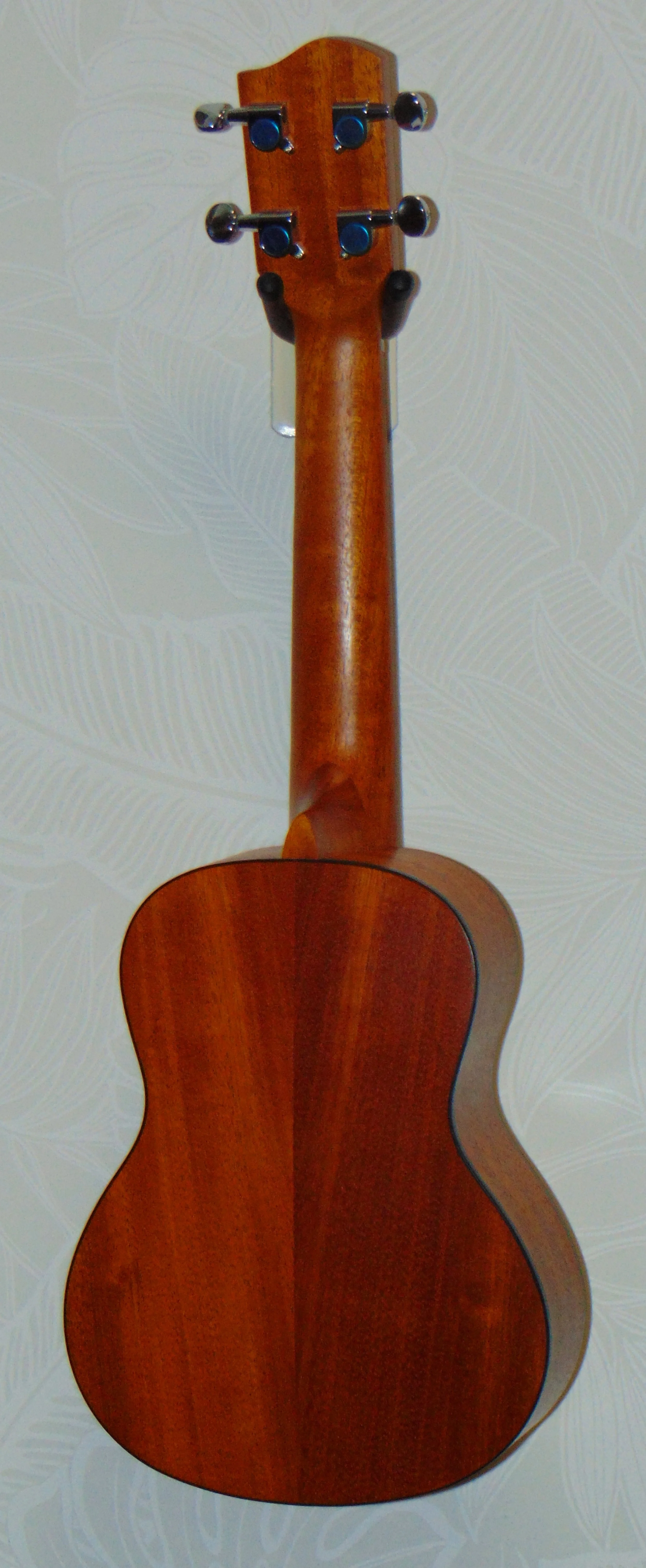 Solid Spruce and Mahogany Concert Back View