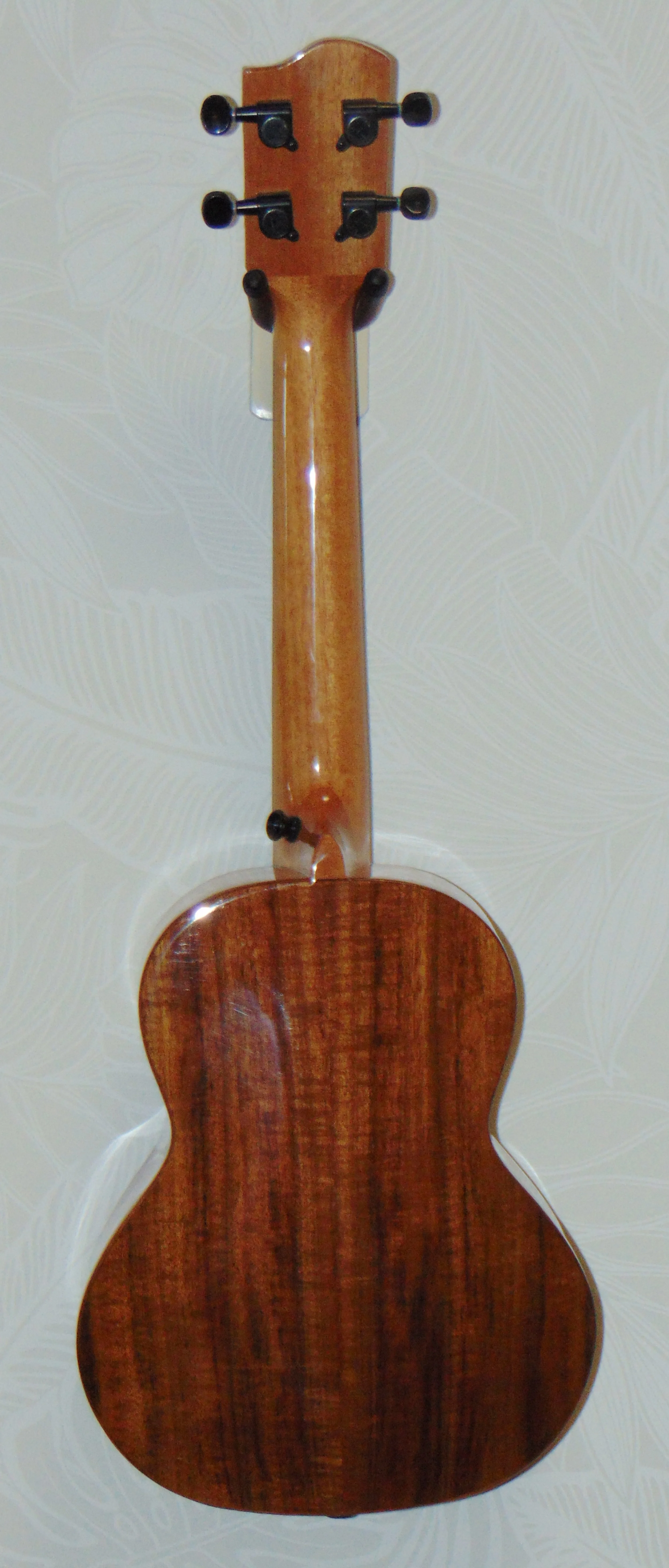 HUG Solid Acacia Concert Ukulele Back View