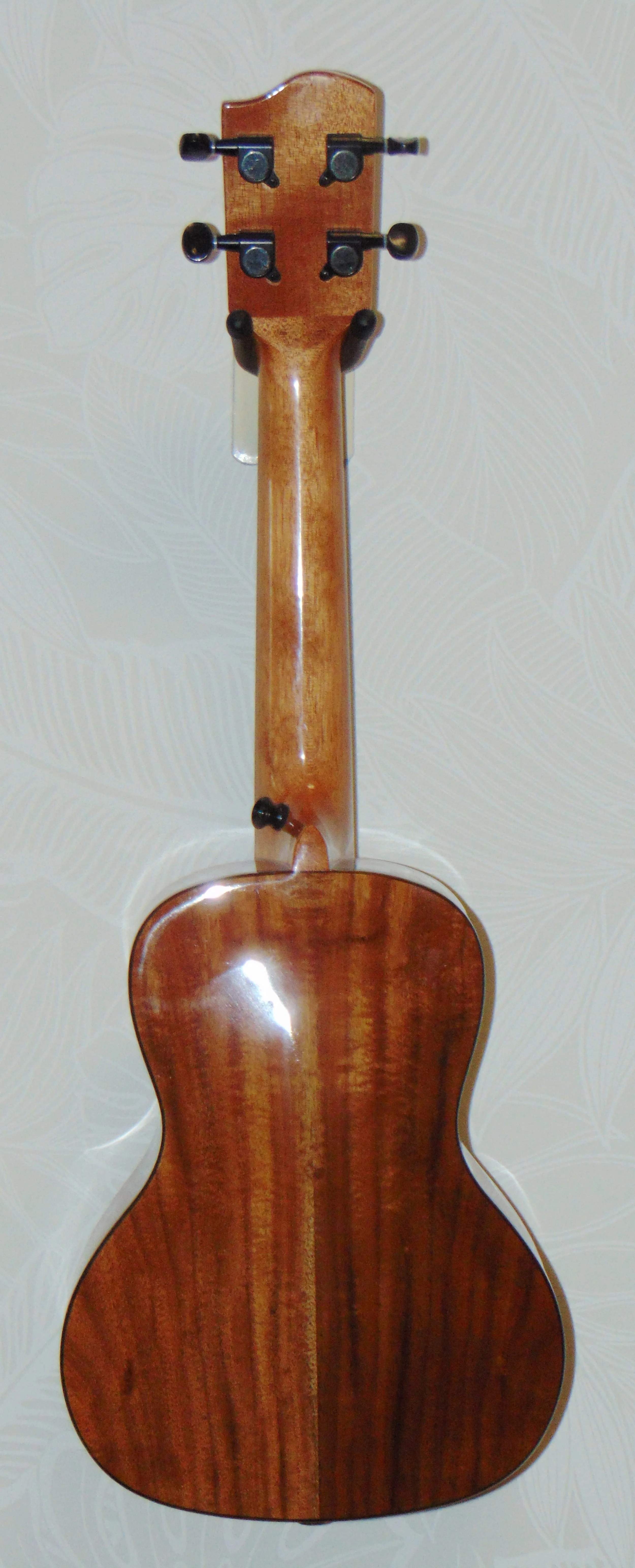 HUG Solid Acacia Tenor Ukulele Back View