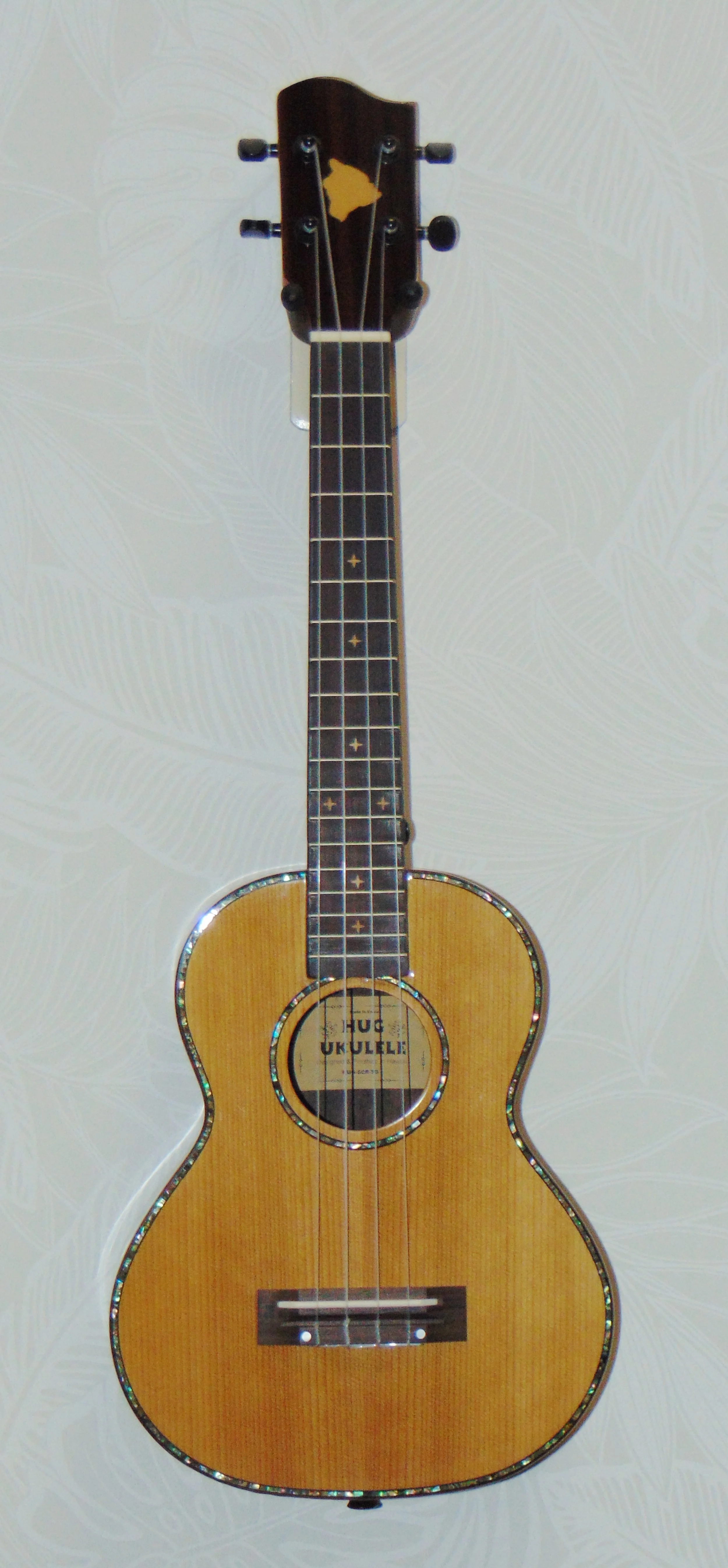 HUG Solid Cedar and Rosewood Concert Ukulele Front View