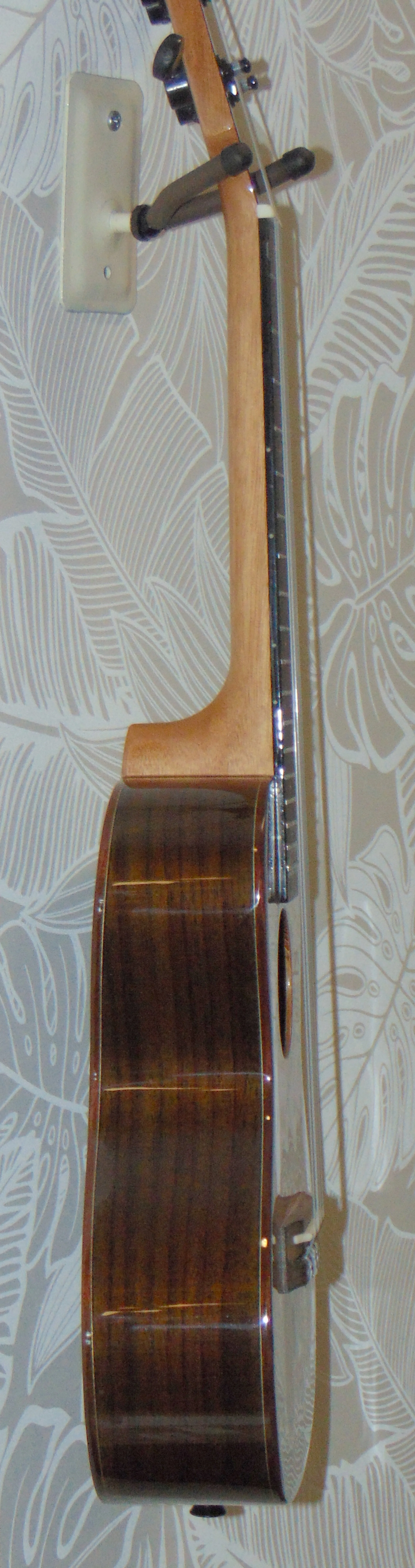 HUG Solid Cedar and Rosewood Tenor Ukulele Side View