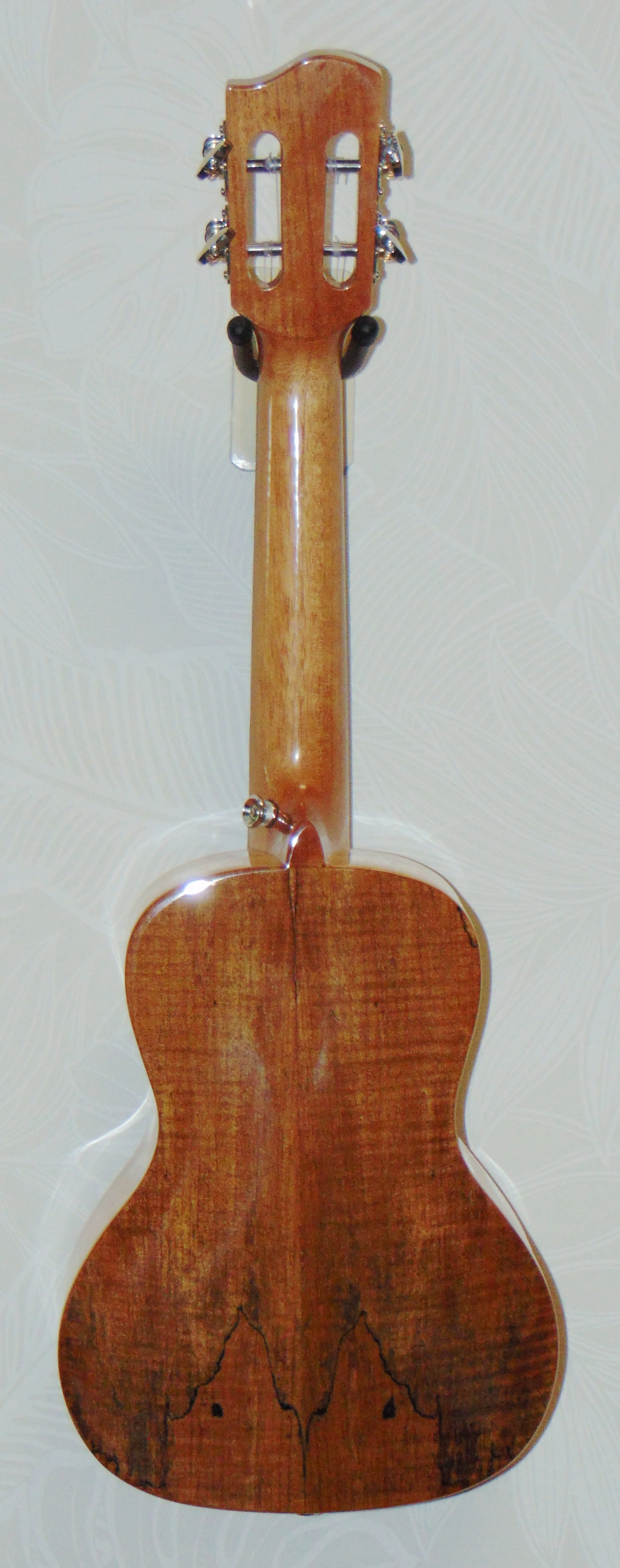 HUG Spalted Maple Concert Ukulele Back View