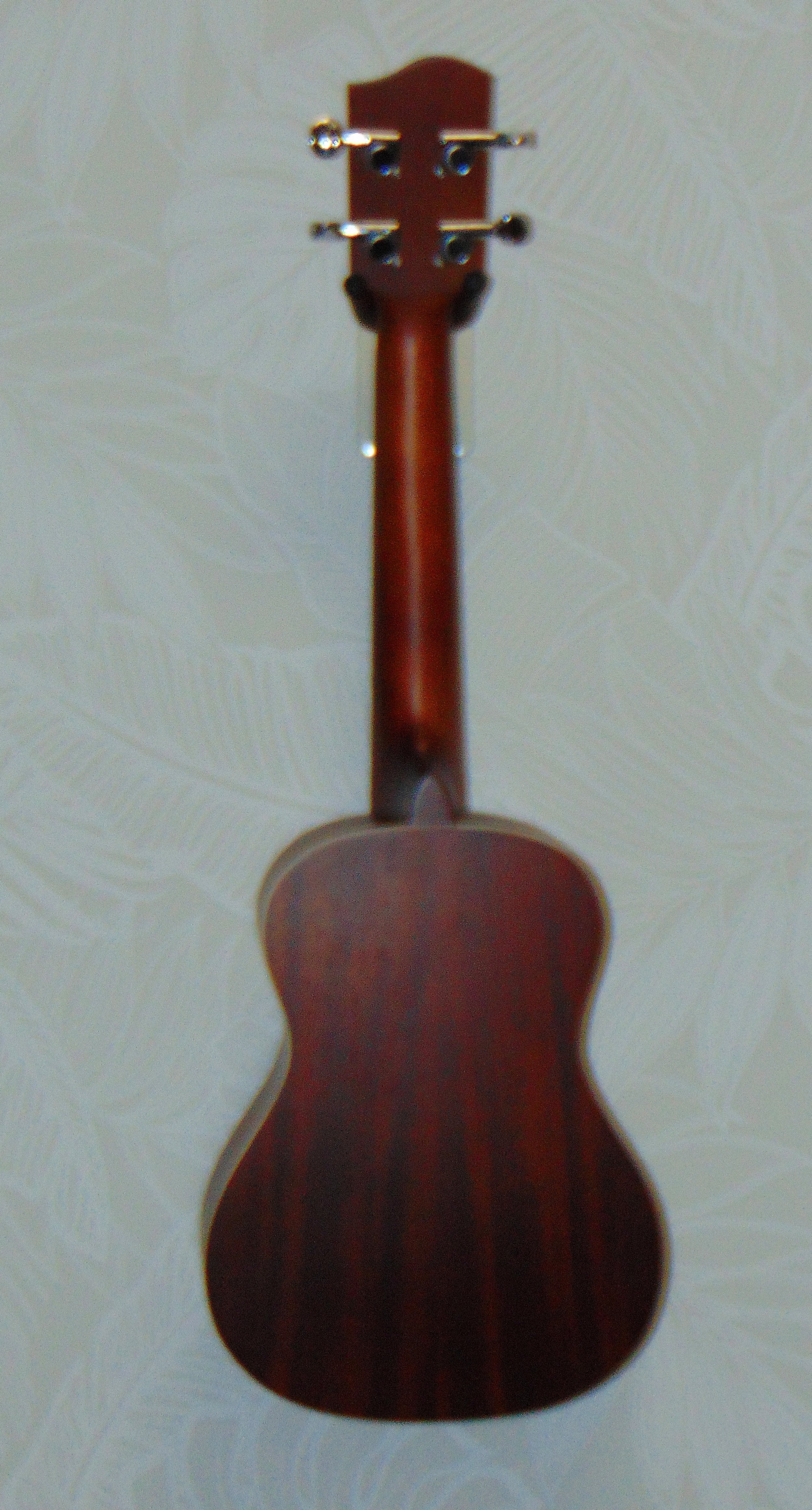 HUG Mahogany Series Tenor Ukulele Back View