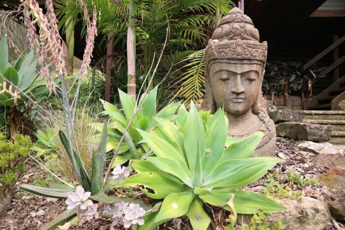 Yanada-Buddha.jpg