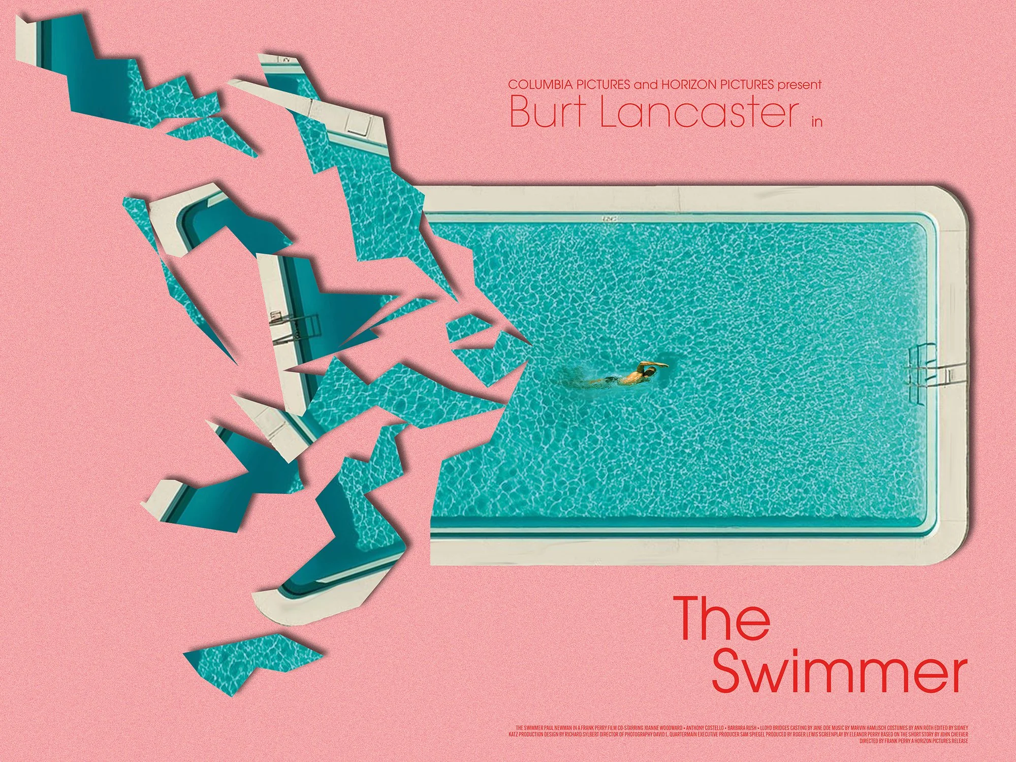 TheSwimmerQuad2small.jpg