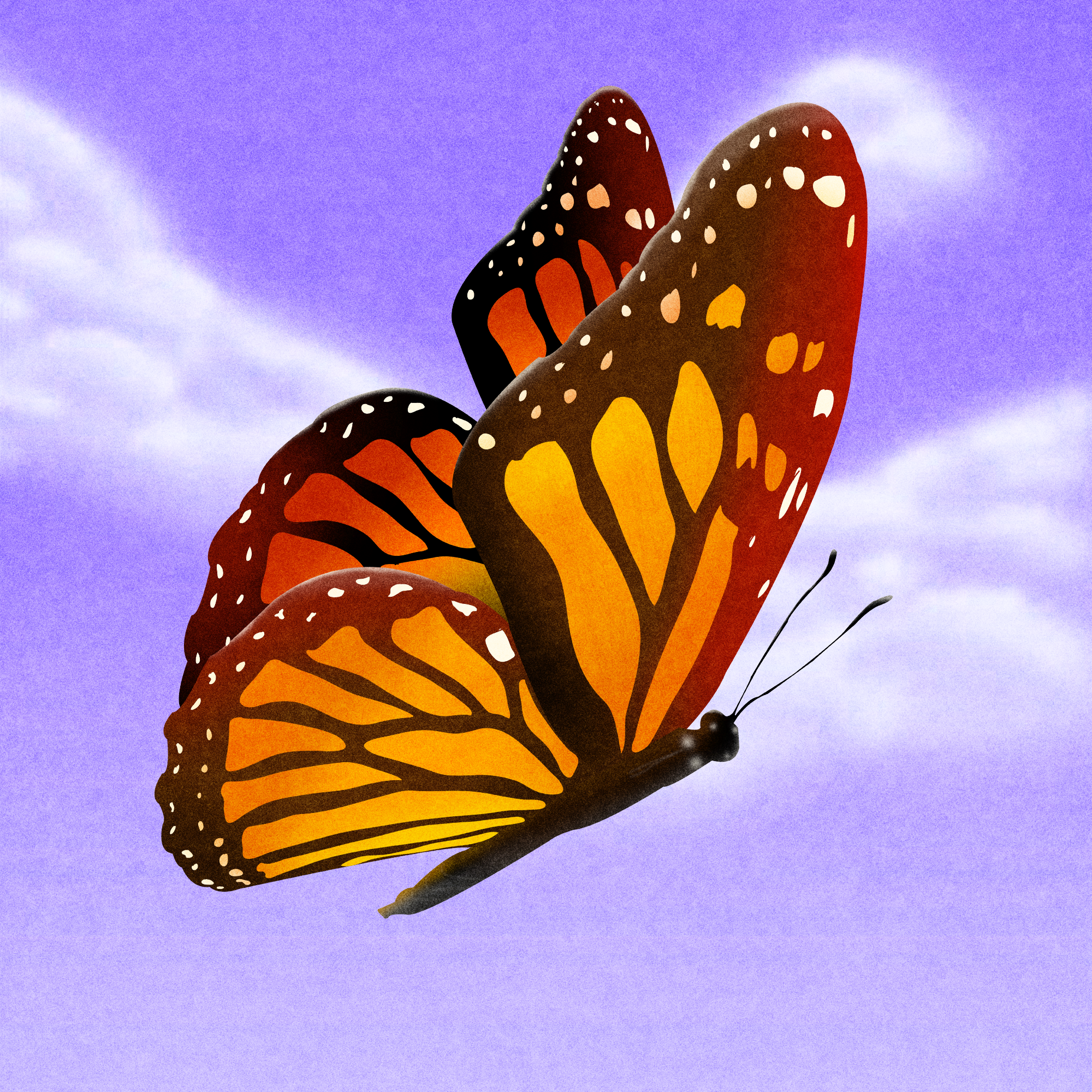 05_butterfly.png