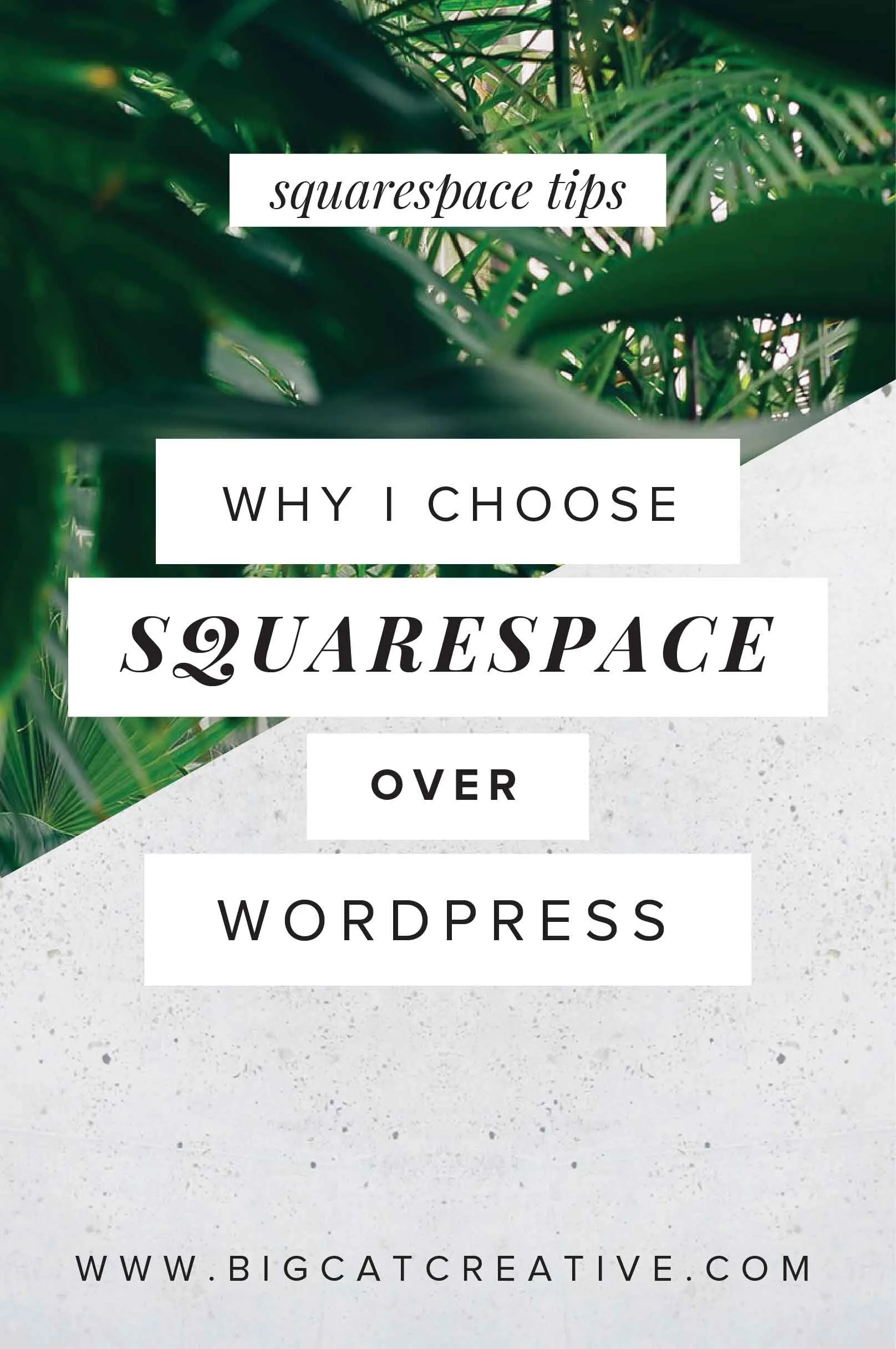 Why I Choose Squarespace Over Wordpress — Big Cat Creative ...
