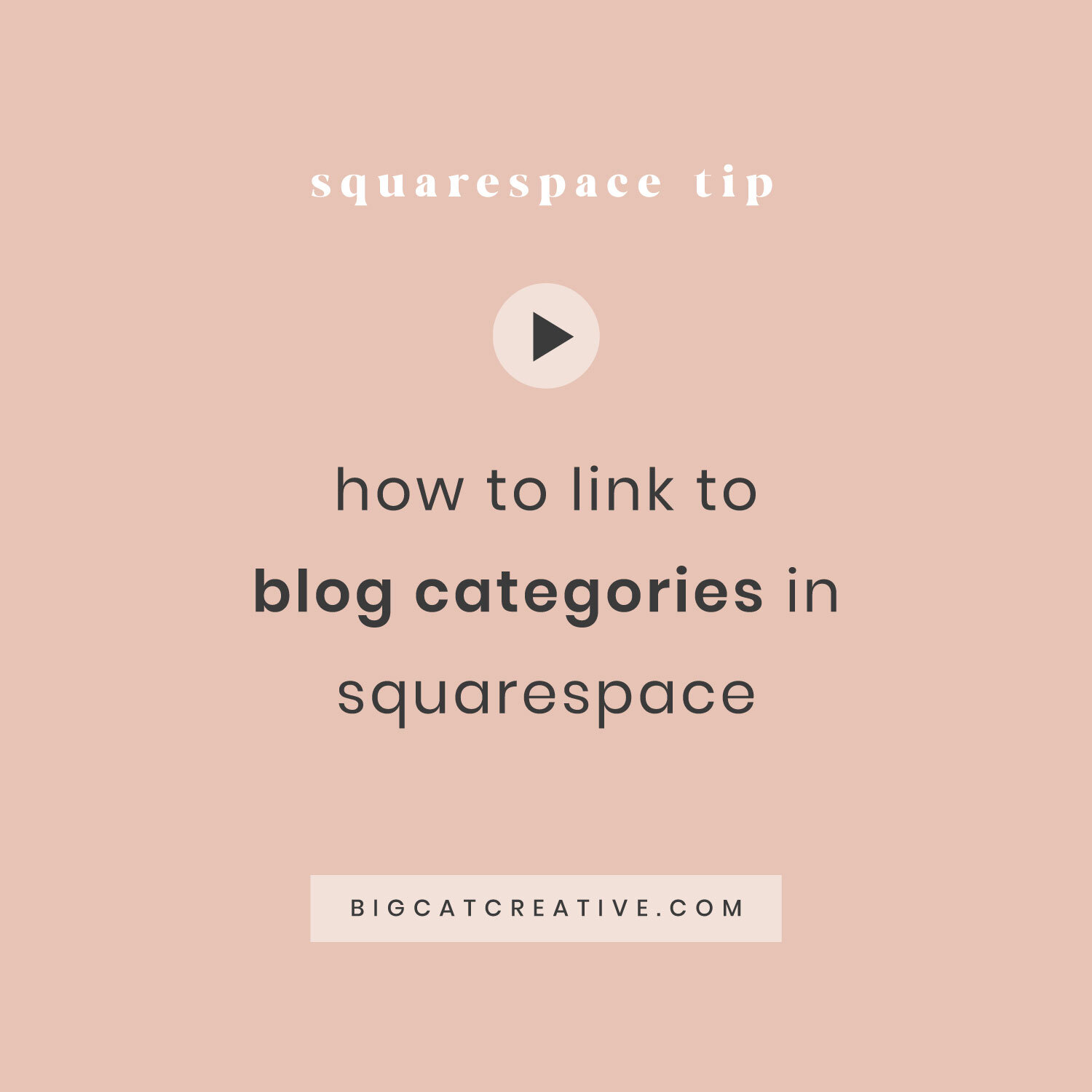 squarespace font box disappearing squarespace font box disappearing