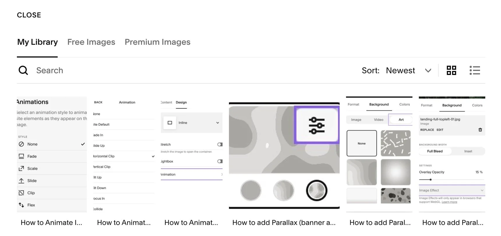squarespace tutorial