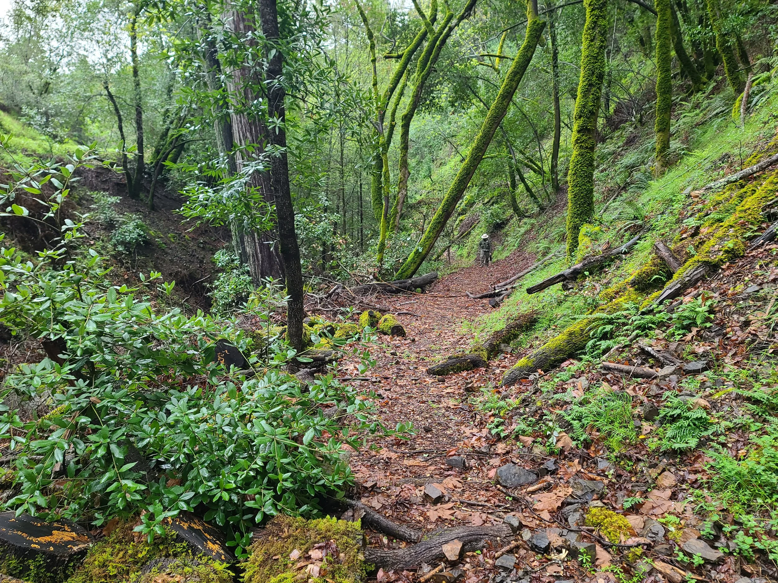 Zander Westbrook Design team member walking on trail.
