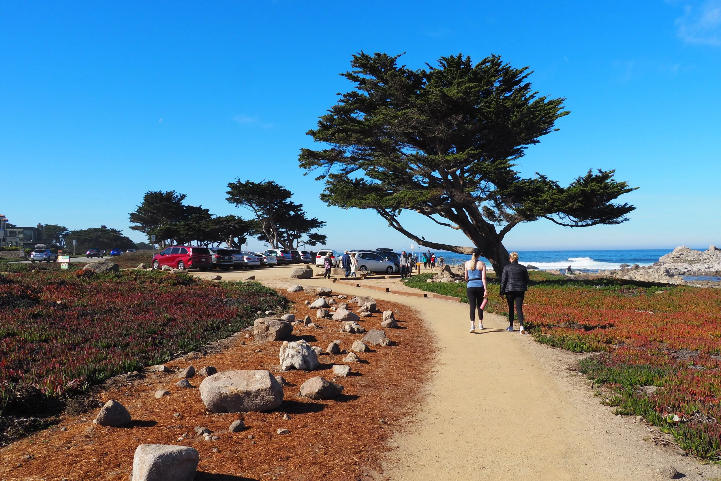 Point Pinos Coastal Trail