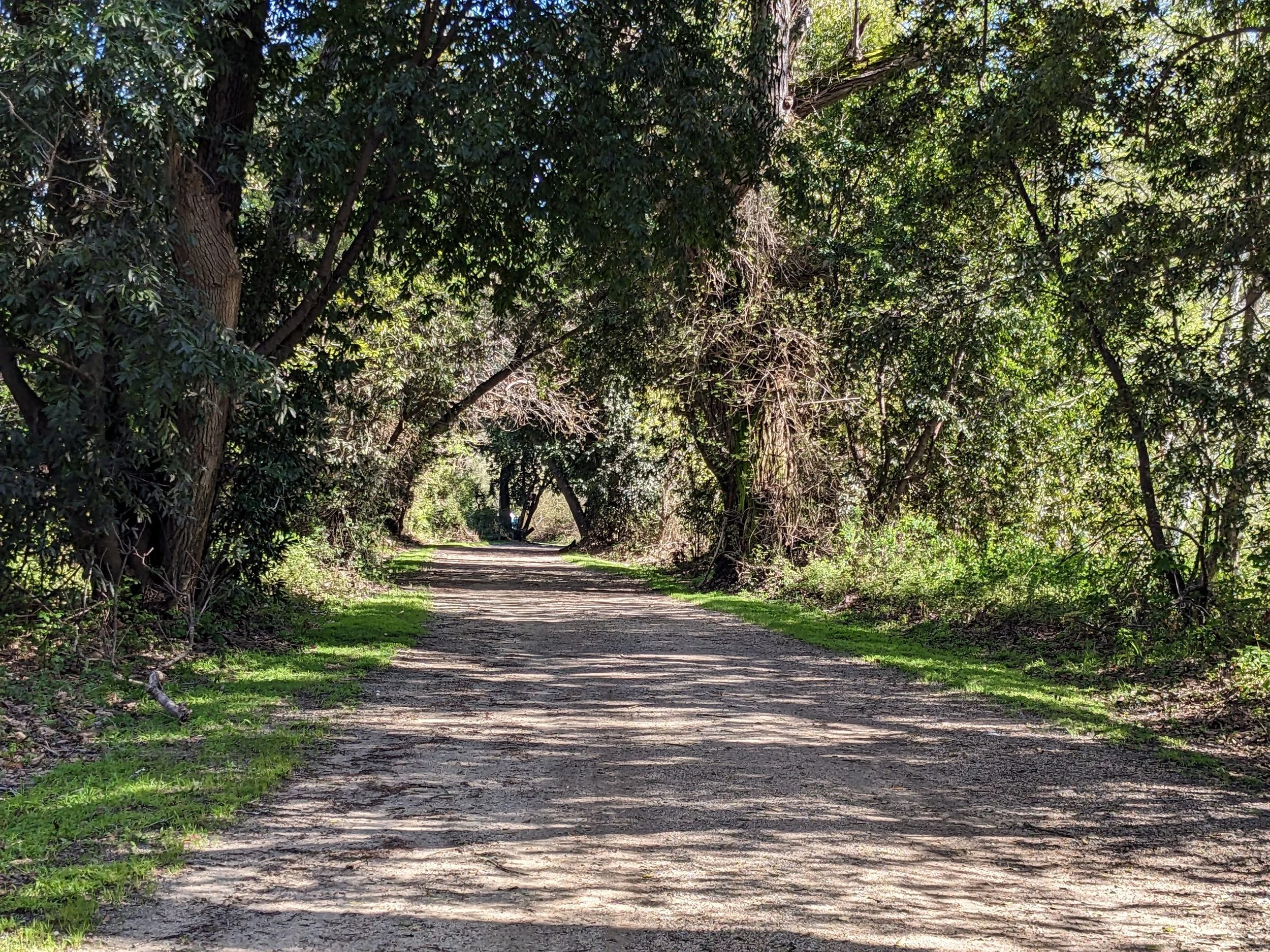 Space for Meaningful Outdoor Recreation (SMORE)