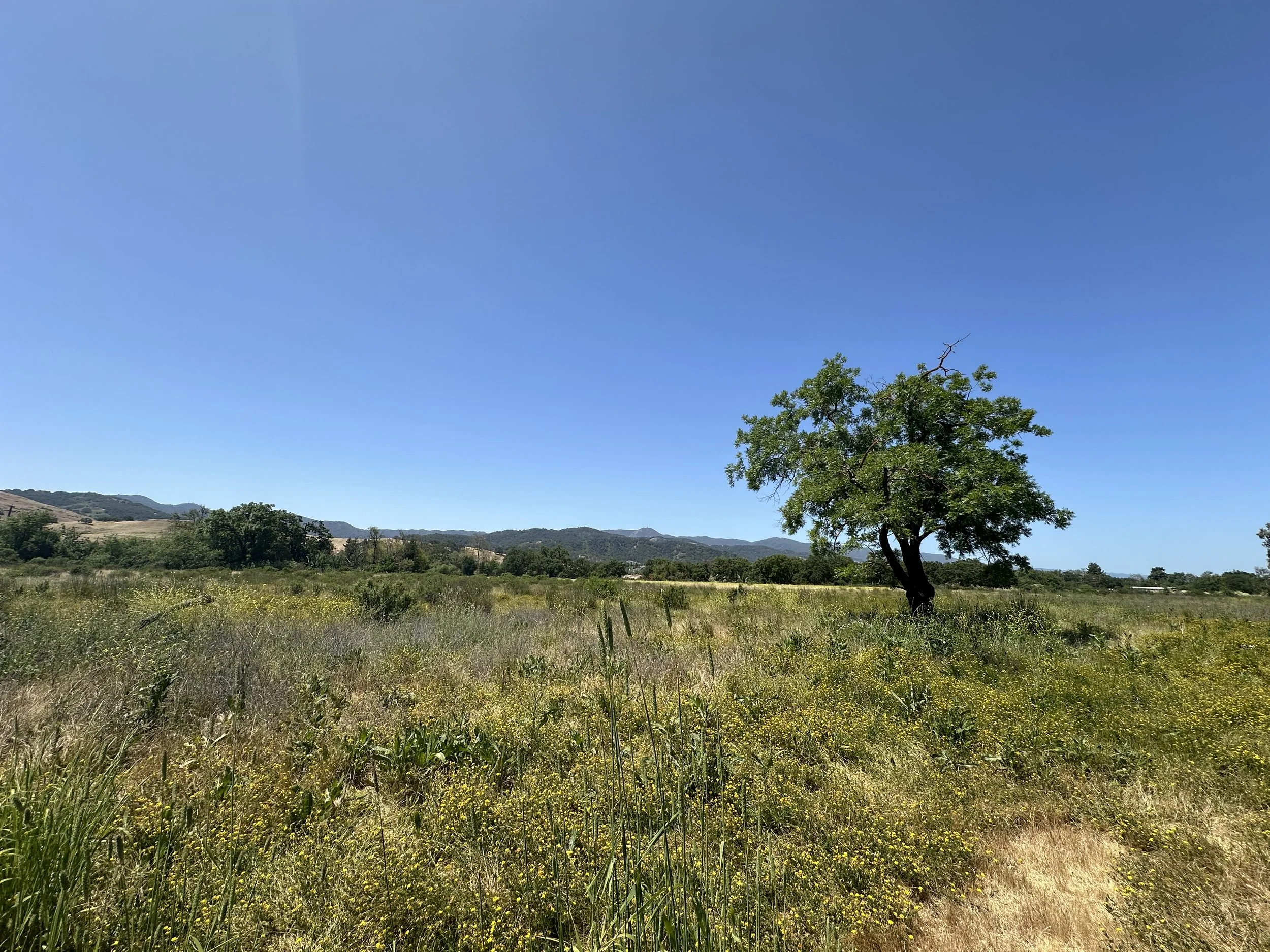 Fortini Trail Site Plan