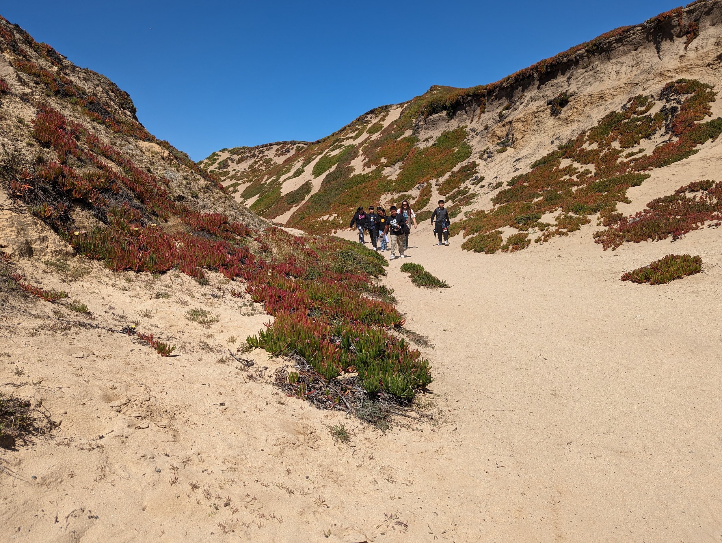 Fort Ord Coastal Access