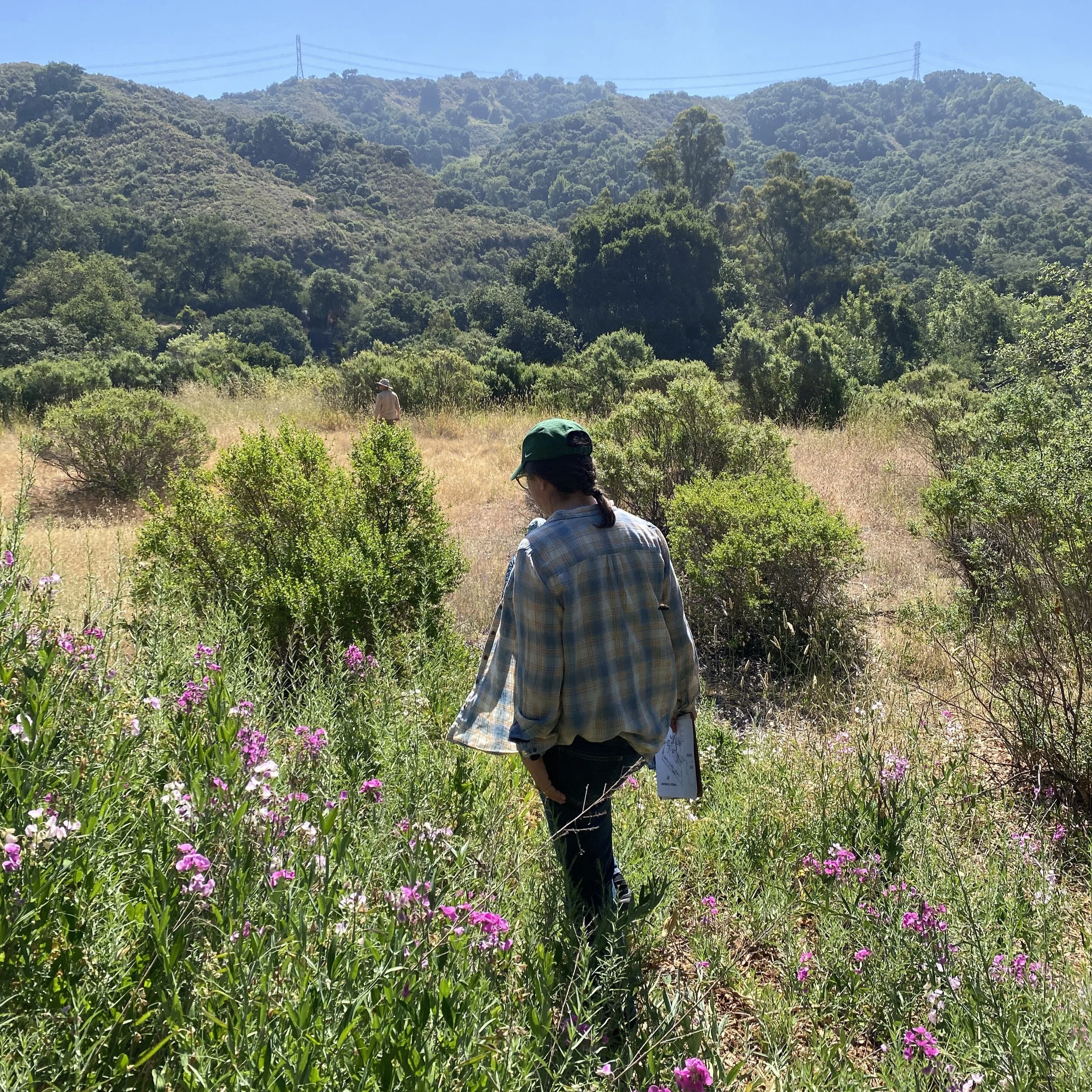 Steven's Creek County Park