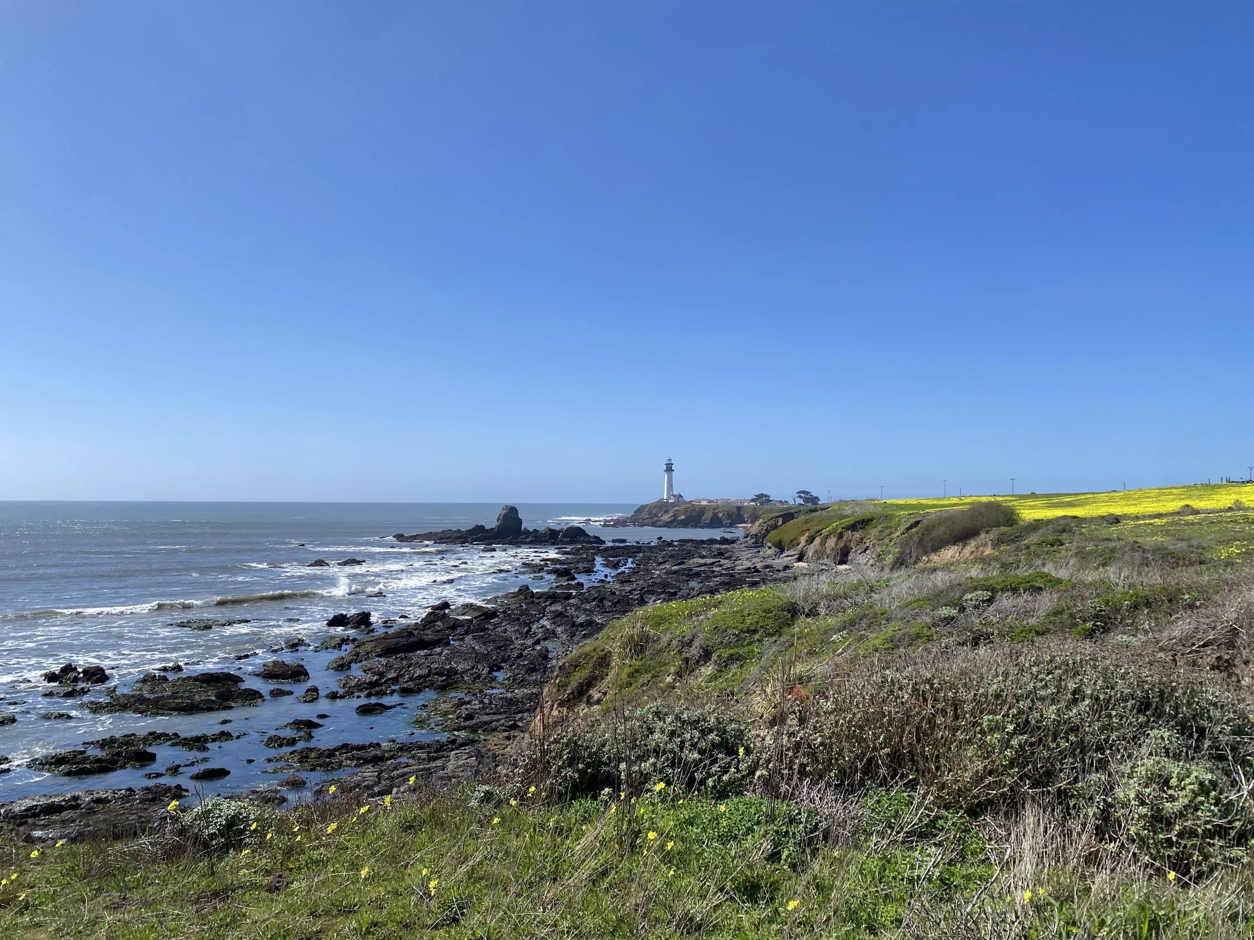 Cloverdale Bluffs Coastal Trail Access