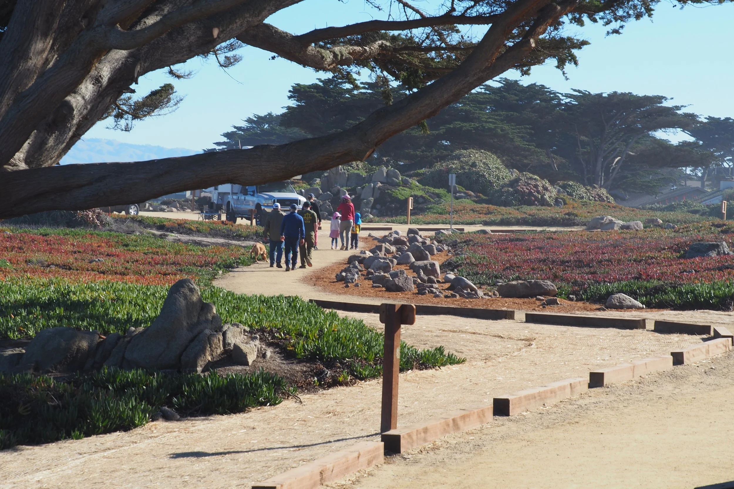 People walking on trail with road in the distance and ocean to the right.