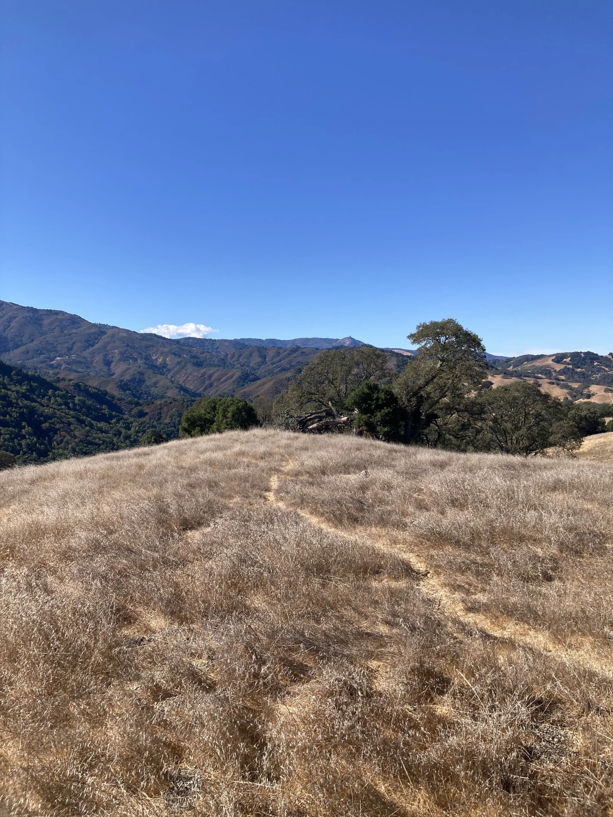 Rancho Cañada del Oro Open Space Preserve Regional Trail Planning