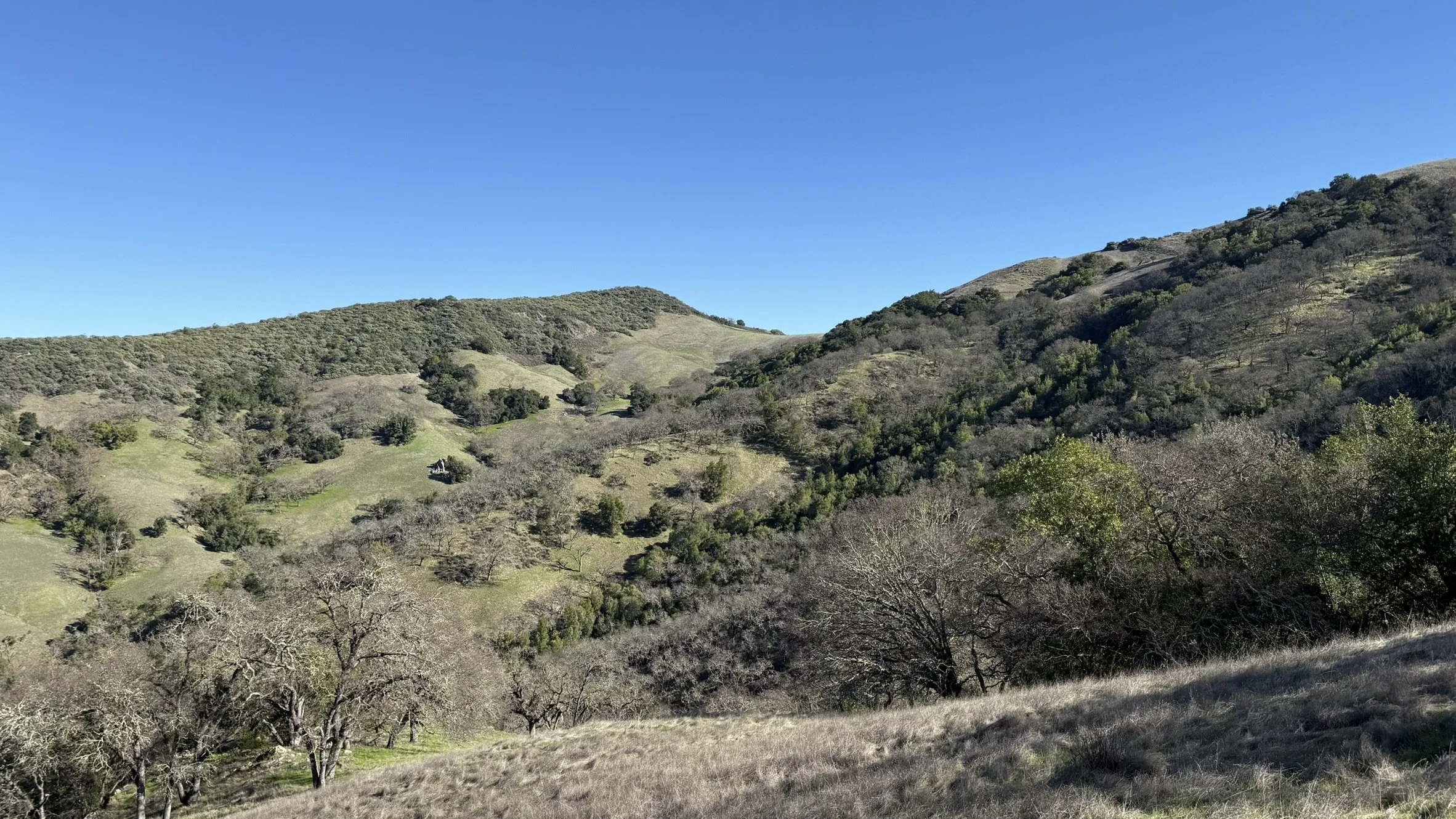IMG_0384.JPEG