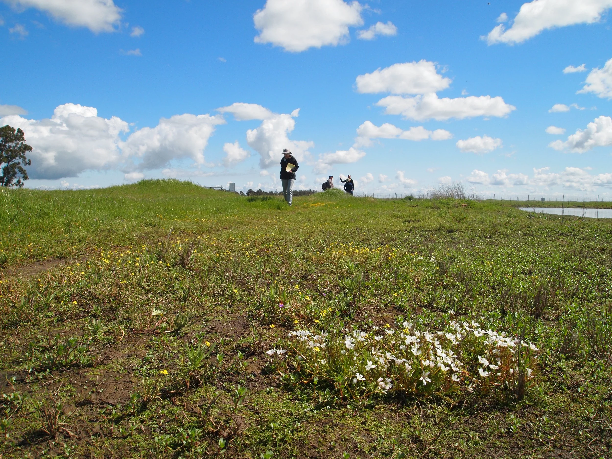 2017-03-27 Jepson Site Visit (83).JPG