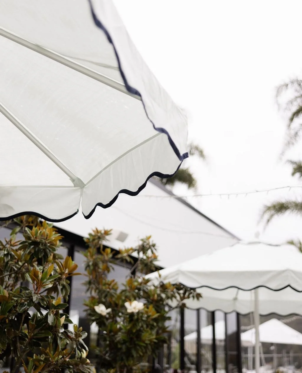 Tara and Nathan&rsquo;s celebration at @pasadenasydney was full of joy, laughter, and beautiful moments. Every corner of the venue felt inviting, thoughtful, and perfectly suited to their day.⁠
⁠
Captured beautifully by @zacmrak and stunning florals 