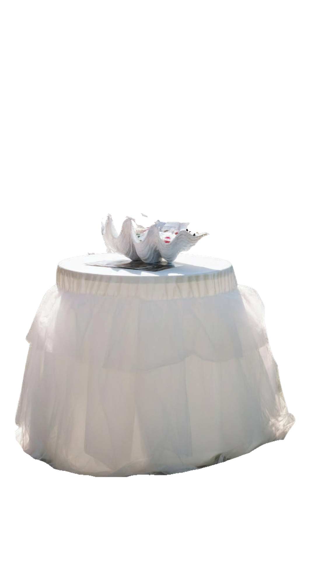 New Items 2026 (2).png