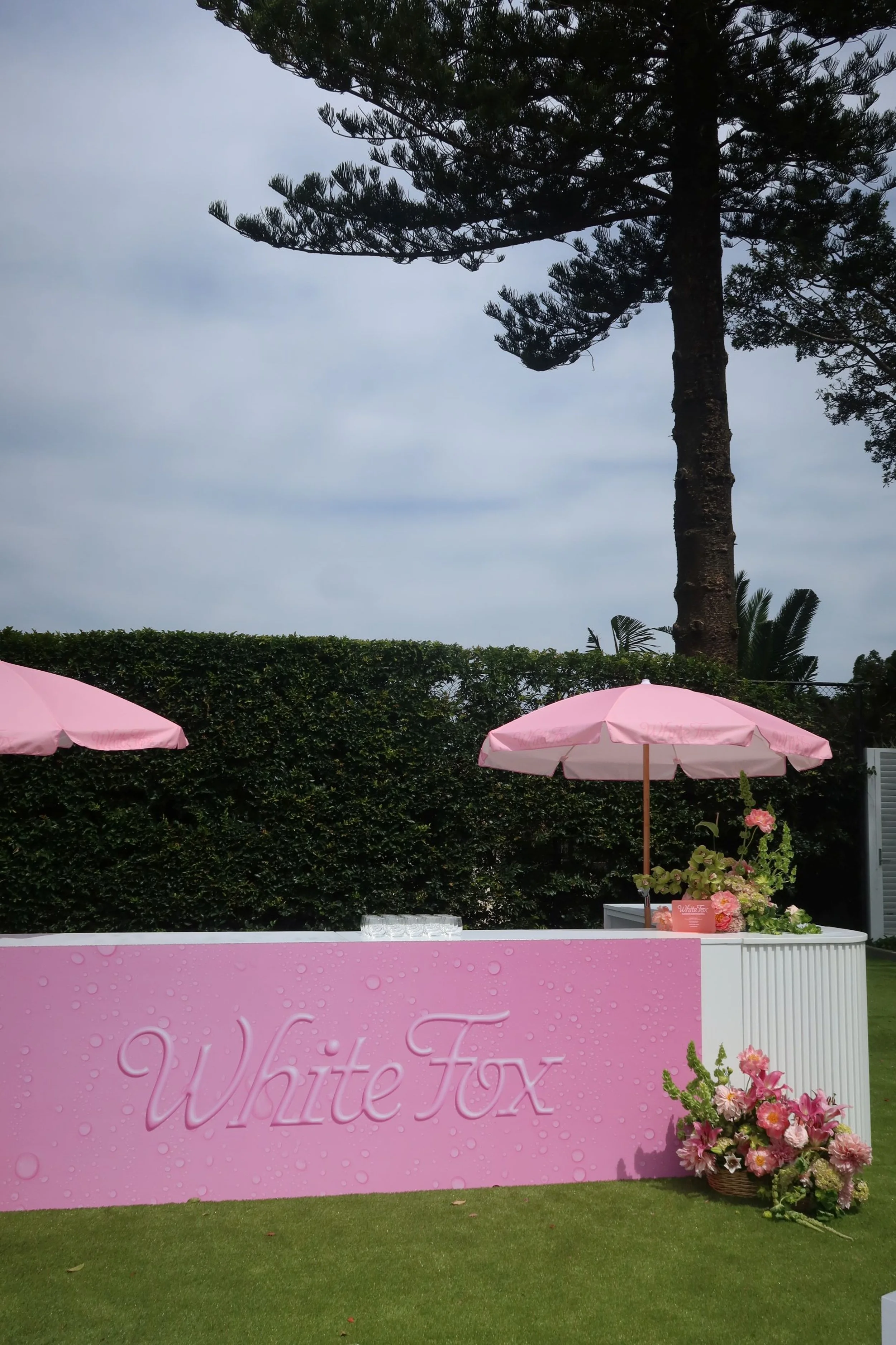 IMG_3488 smaller.JPG