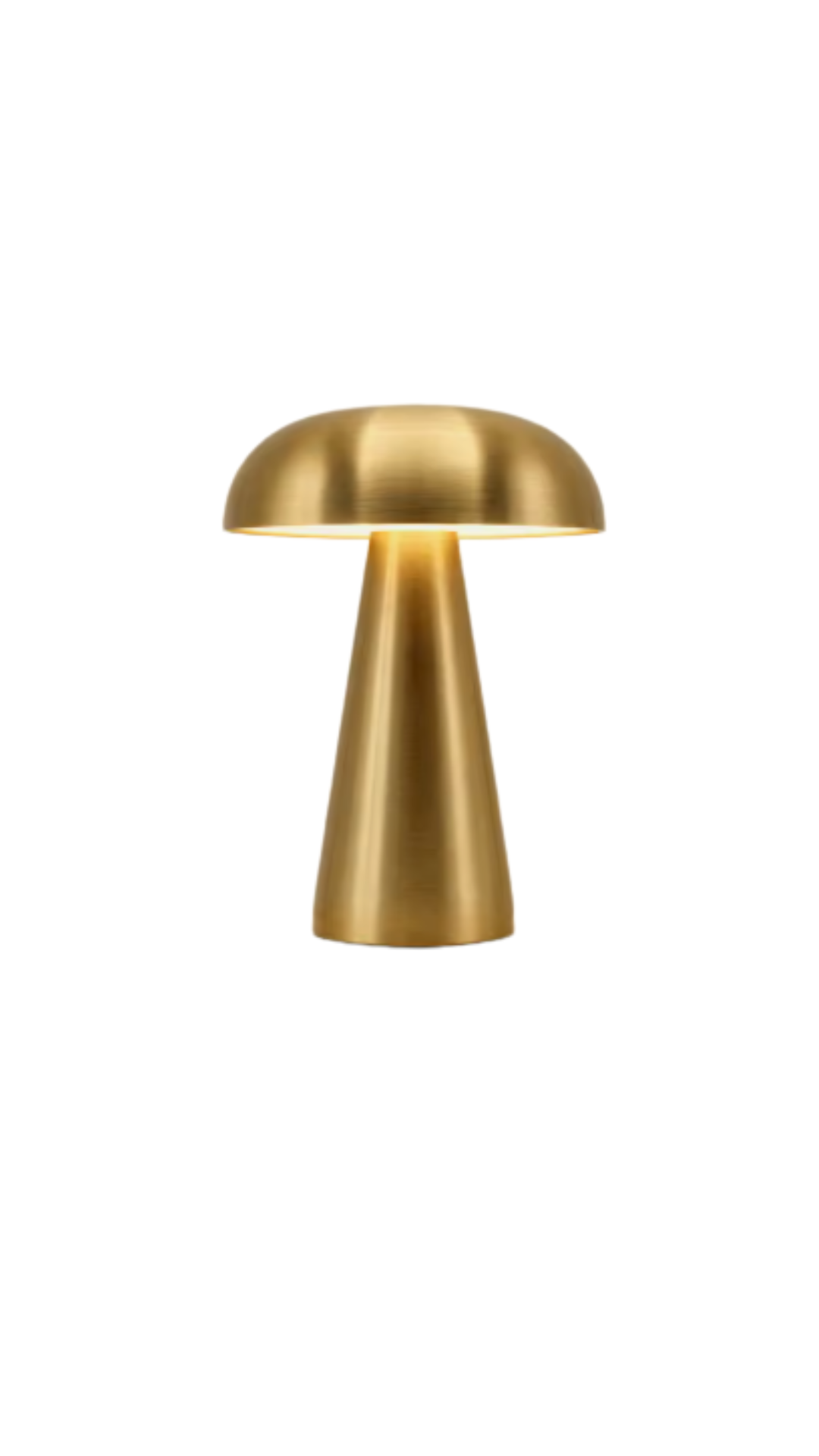 Random 2025 stuff (6).png