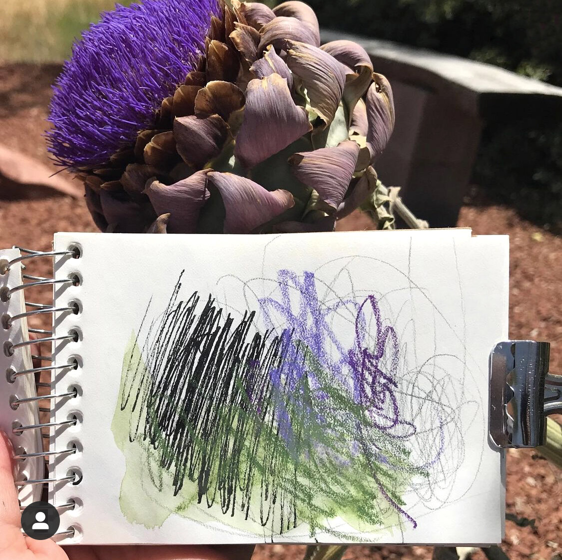 in the garden
