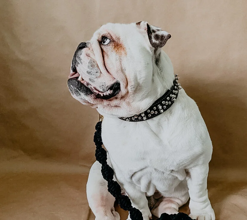 43578124-FD4E-4E29-8672-9F79BCC36471 2.JPG