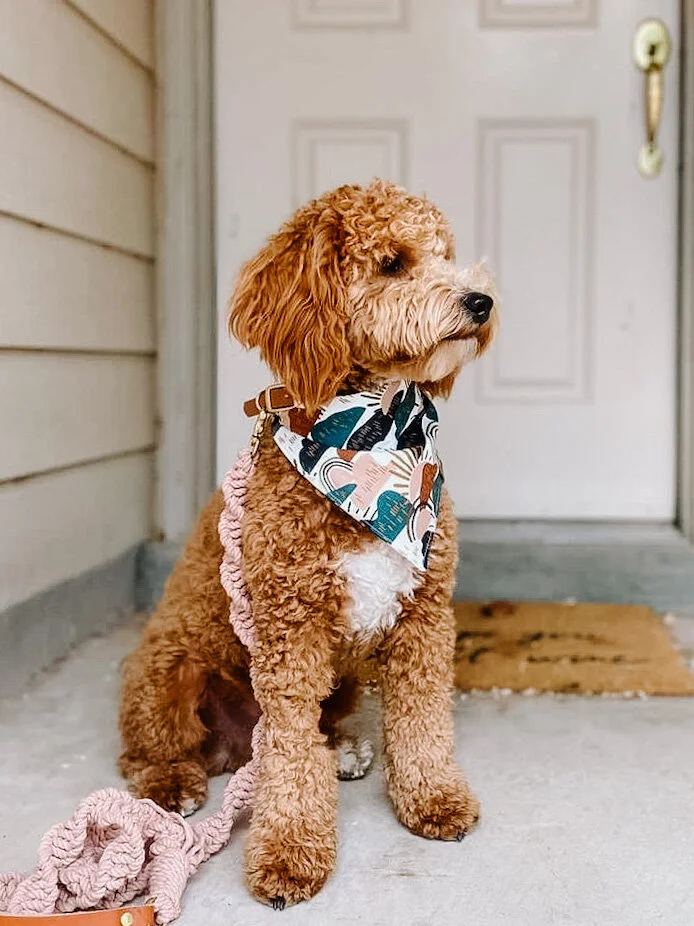 73166C75-D3D2-4D20-818F-6F6BD70A08DD