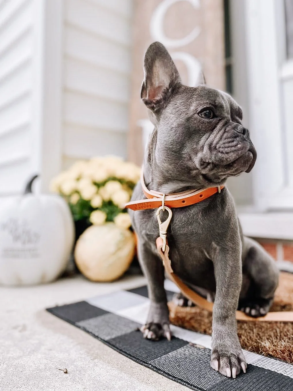 124D8DDC-4521-47B0-8954-89BC61F979F9 2.JPG